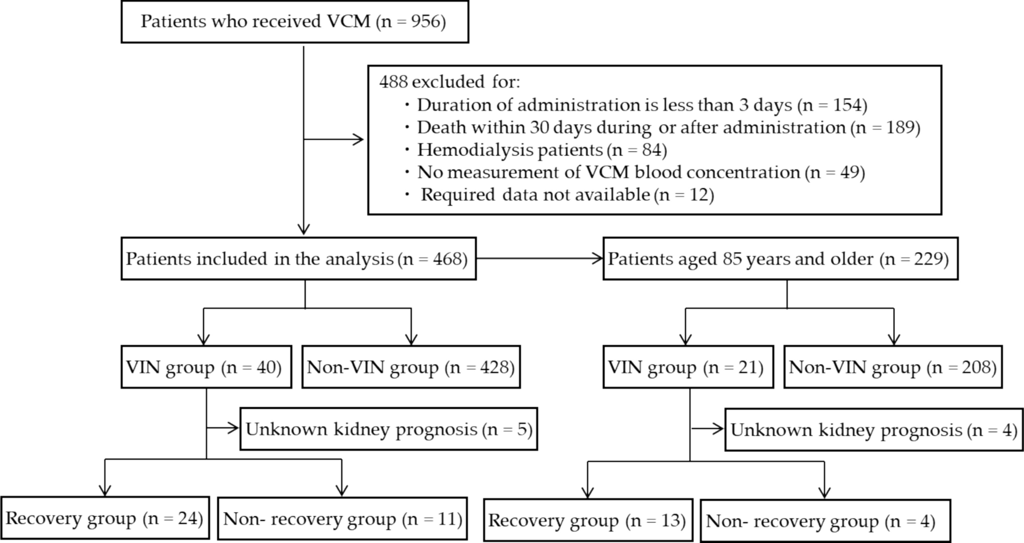 Risk Factors for Vancomycin-Induced Nephrotoxicity and Kidney Prognosis in Patients Aged 75 Years and Older: A Retrospective Study
