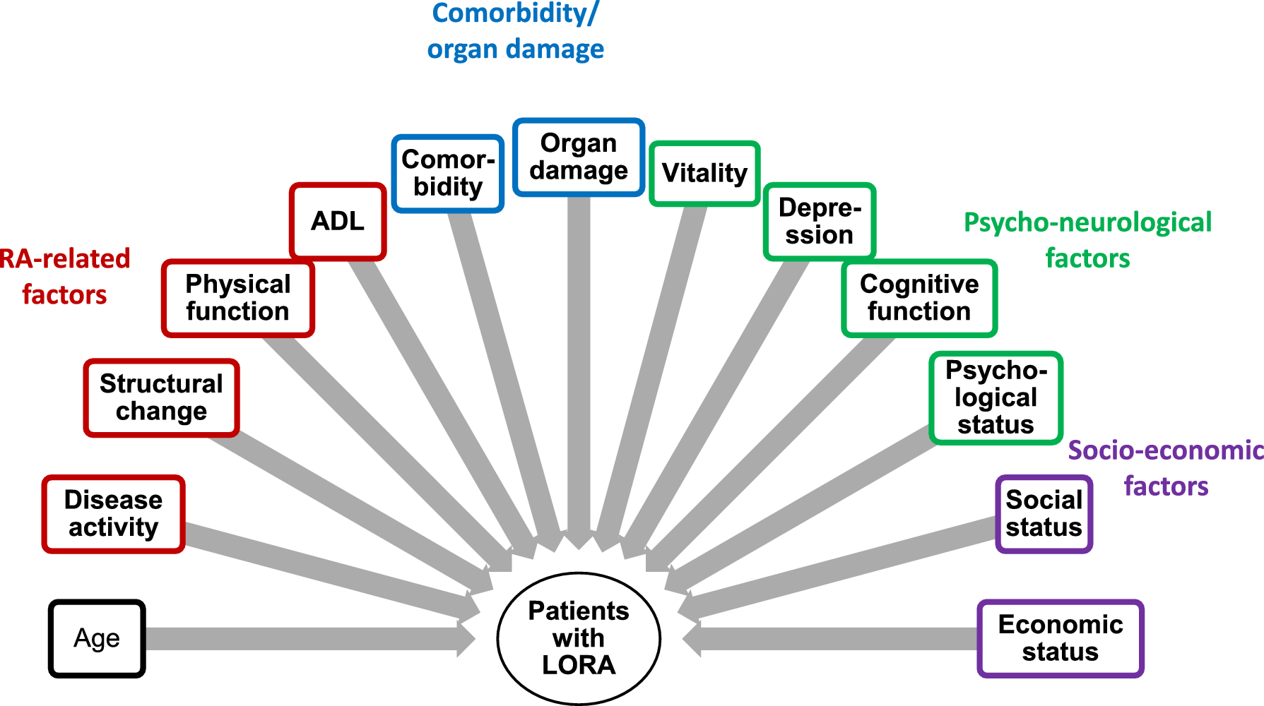Management of Late-Onset Rheumatoid Arthritis with Treat-to-Target Strategy