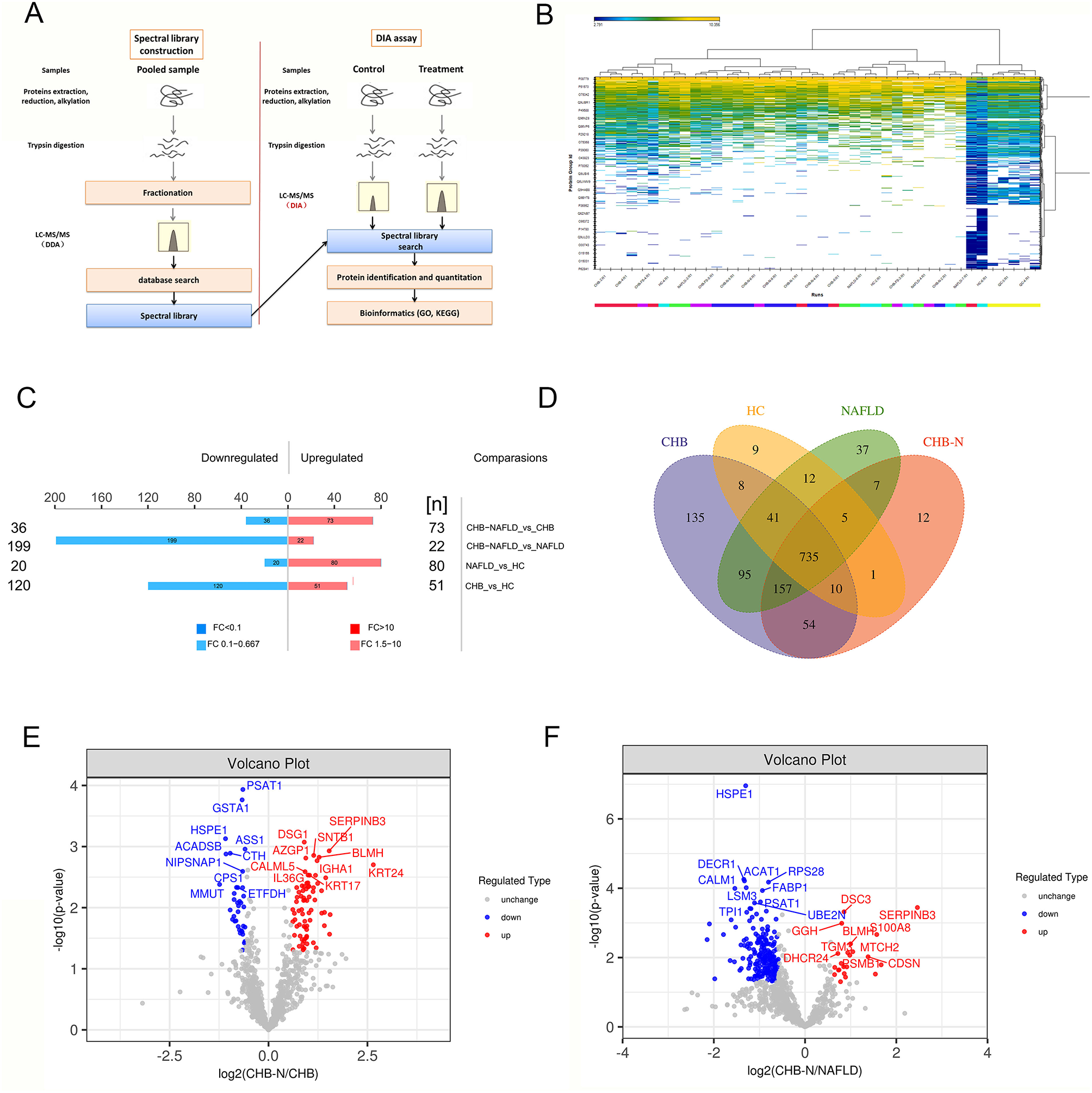 Comprehensive analysis of chronic hepatitis B concurrent with non-alcoholic fatty liver disease: a proteomics report based on clinical liver samples