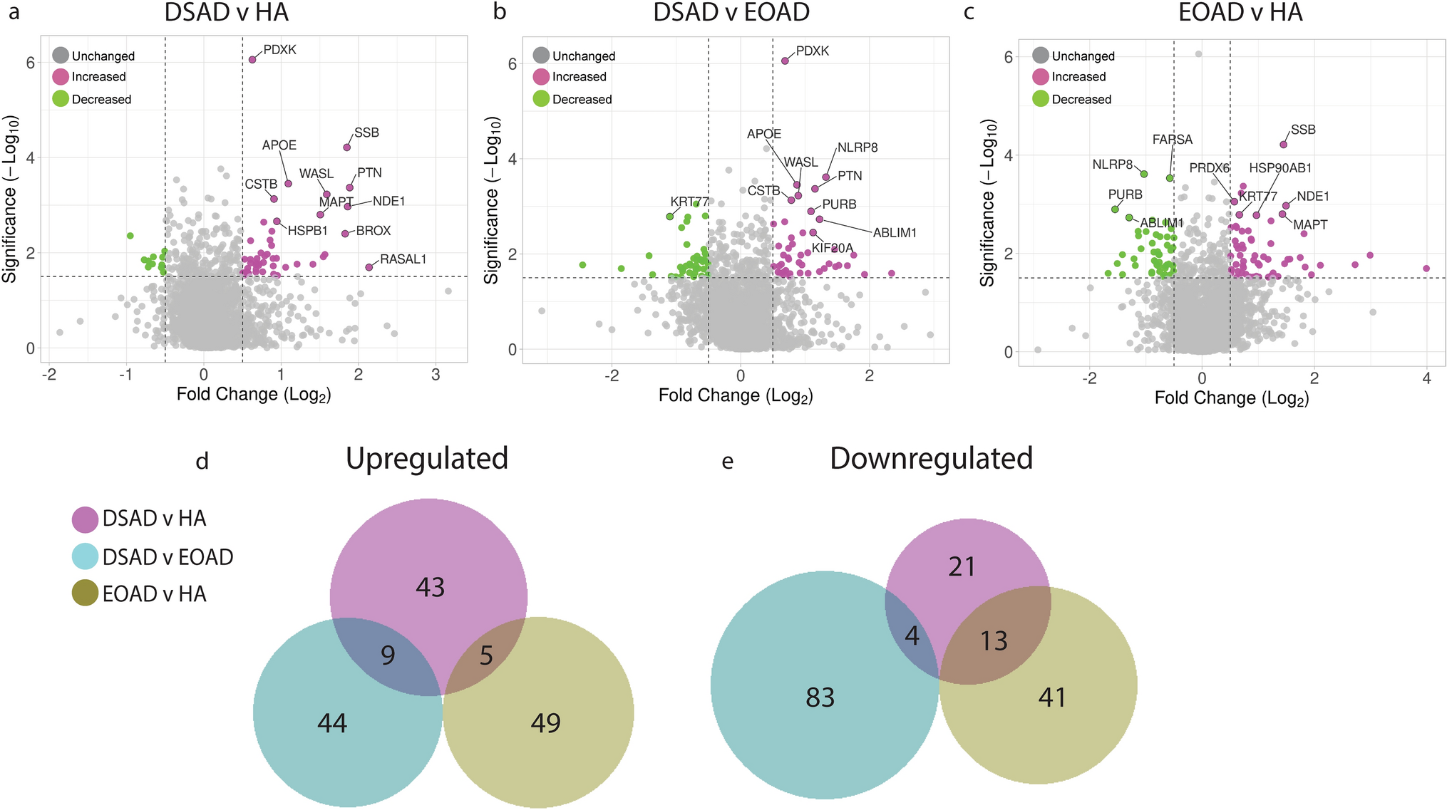 Apolipoprotein E abundance is elevated in the brains of individuals with Down syndrome–Alzheimer’s disease
