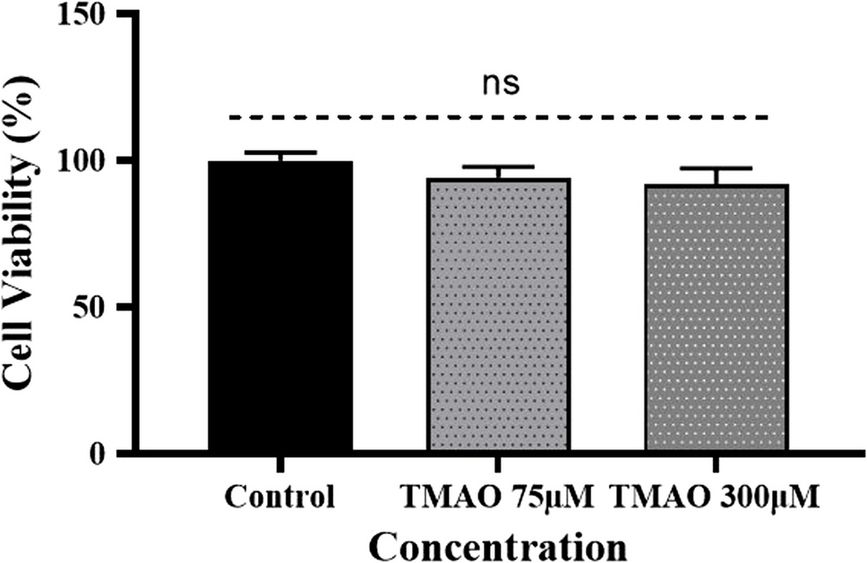TMAO promotes metabolic dysfunction-associated fatty liver disease (MAFLD) development through long-non coding RNA- highly upregulated liver cancer (HULC)