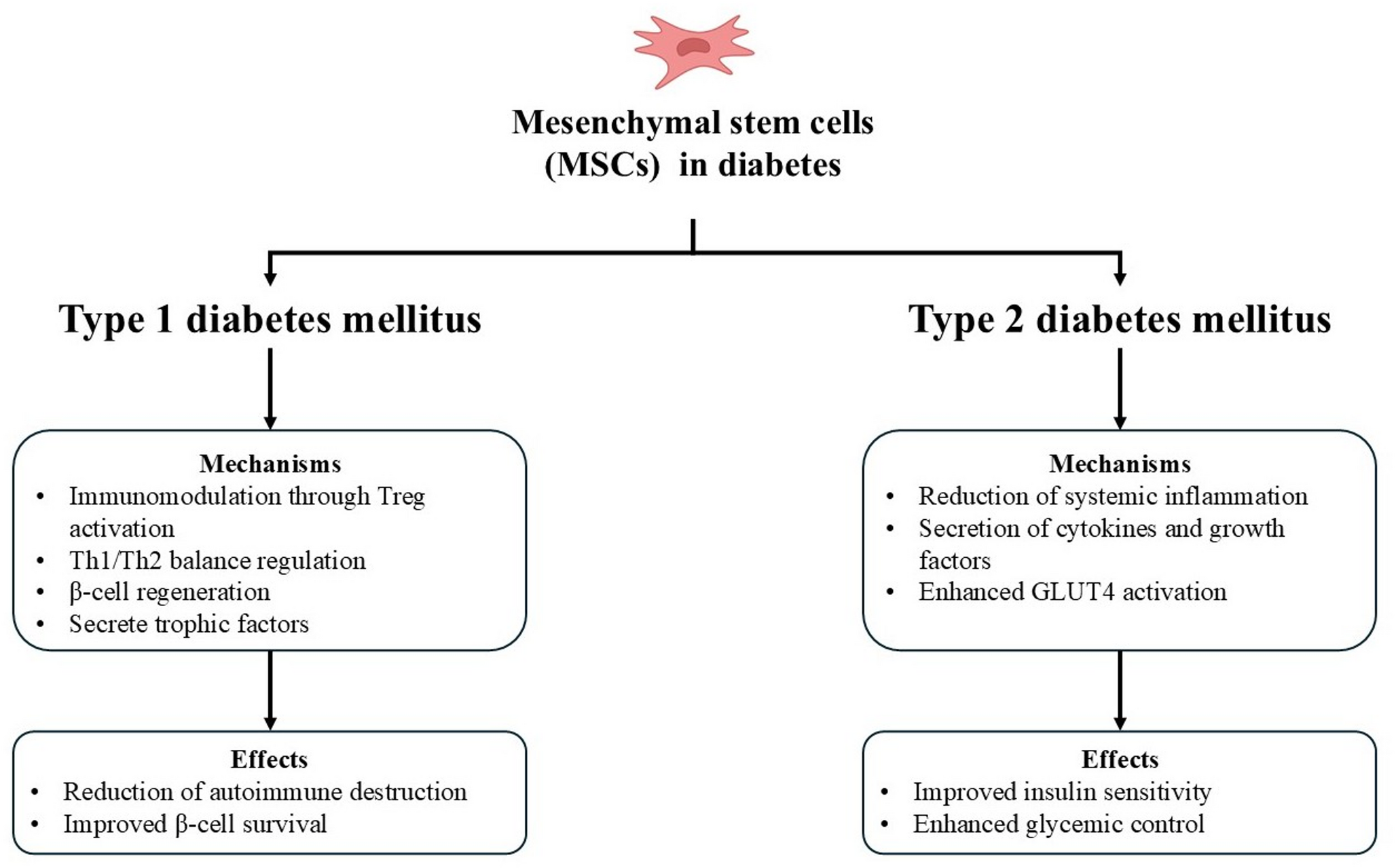 Advancements in diabetes research and stem cell therapy: a concise review