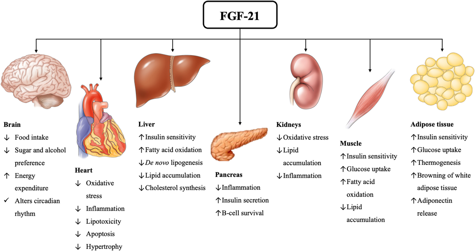 Circulating Fibroblast Growth Factor-21 in Patients with Nonalcoholic Fatty Liver Disease: A Systematic Review and Meta-Analysis