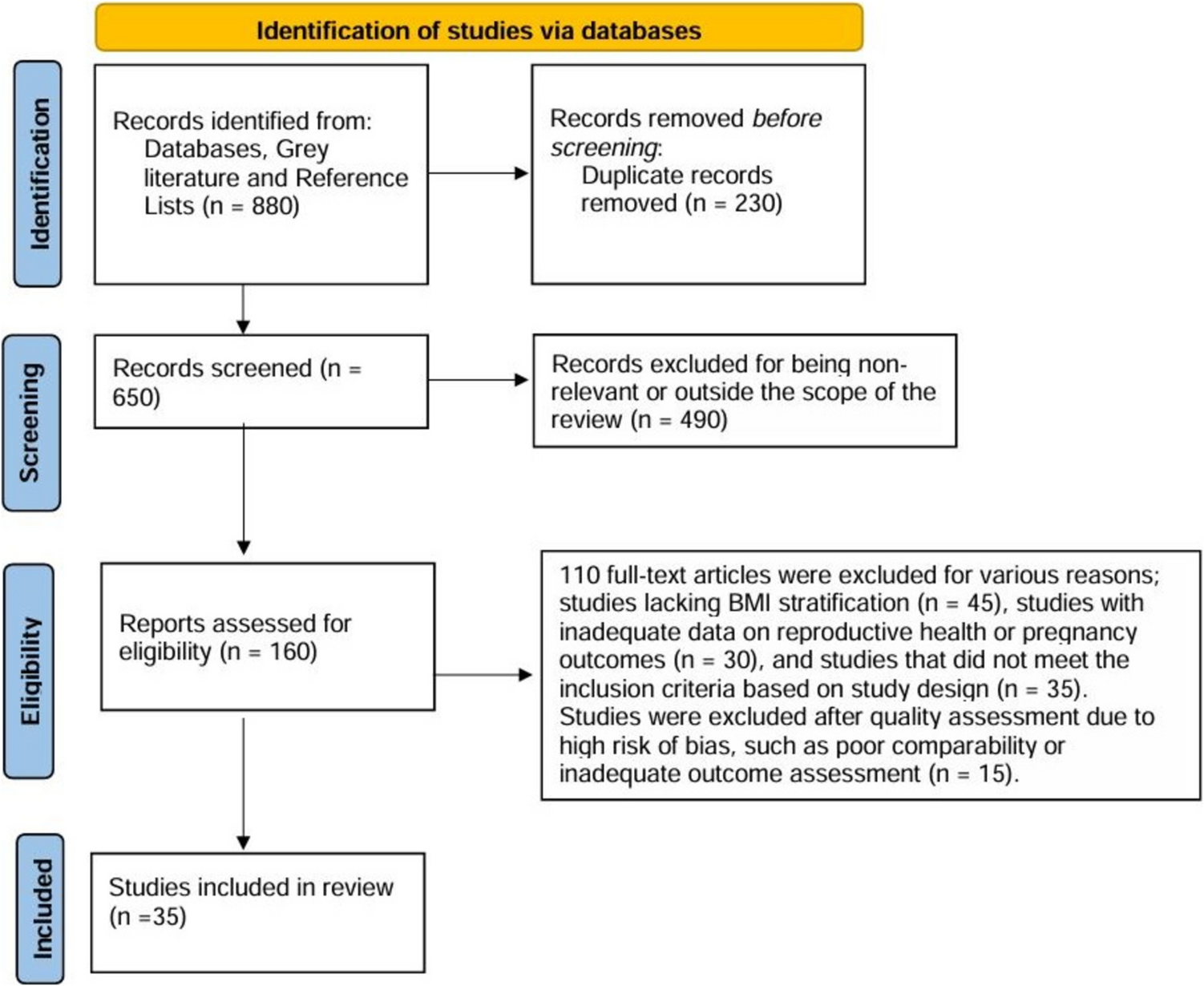 When Weight Matters: How Obesity Impacts Reproductive Health and Pregnancy-A Systematic Review