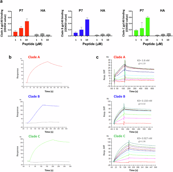 The conformational epitope of a gp41-specific mucosal protective IgA binds to the HIV-1 envelope and neutralizes infection