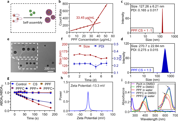 An endoplasmic reticulum-targeting photodynamic AMPK agonist activates breast cancer immunotherapy through promoting immunogenic cell death and downregulation of PD-L1
