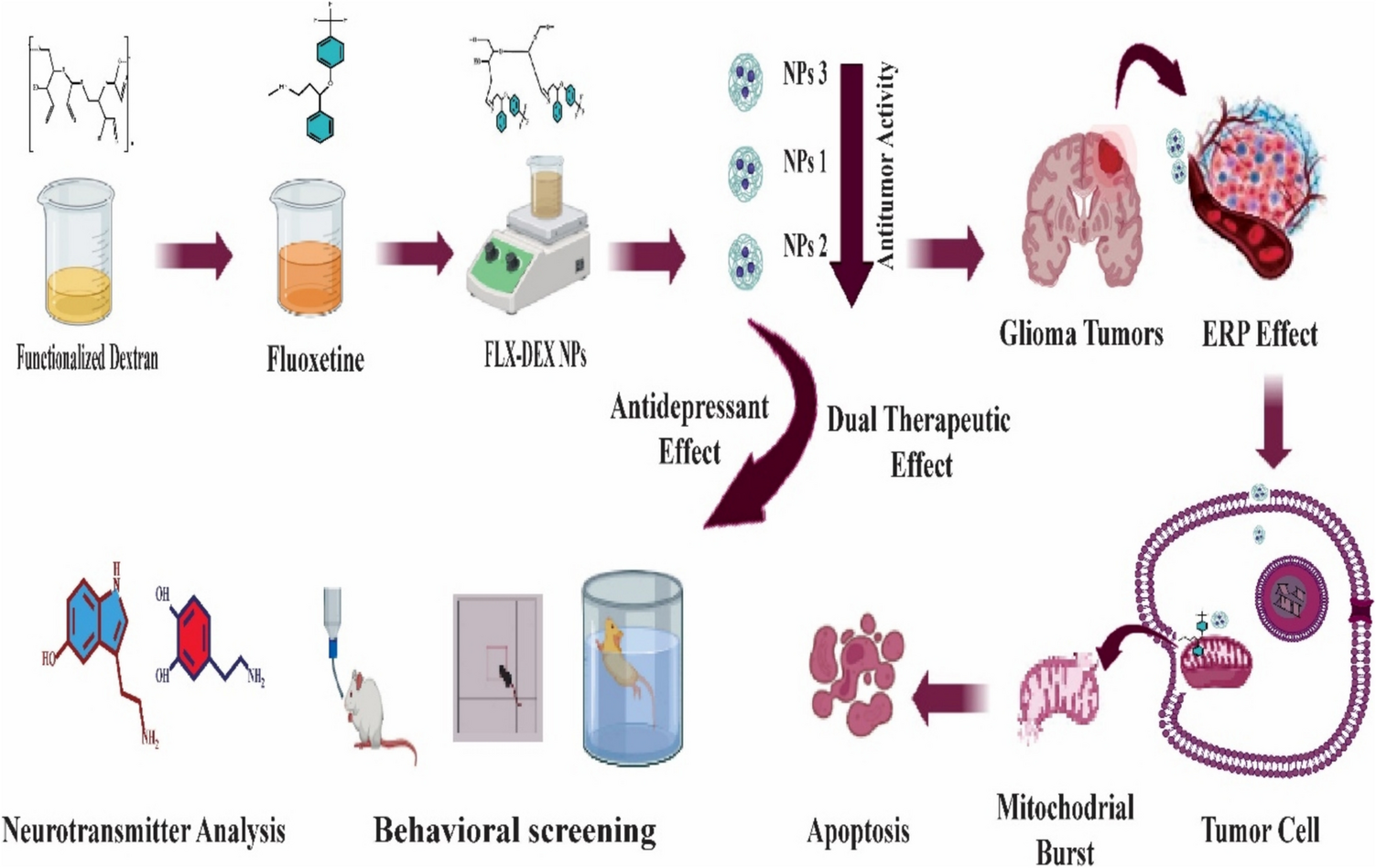 Synthesis and optimization of fluoxetine-loaded polymeric nanoparticles for dual therapeutic applications in cancer and depression