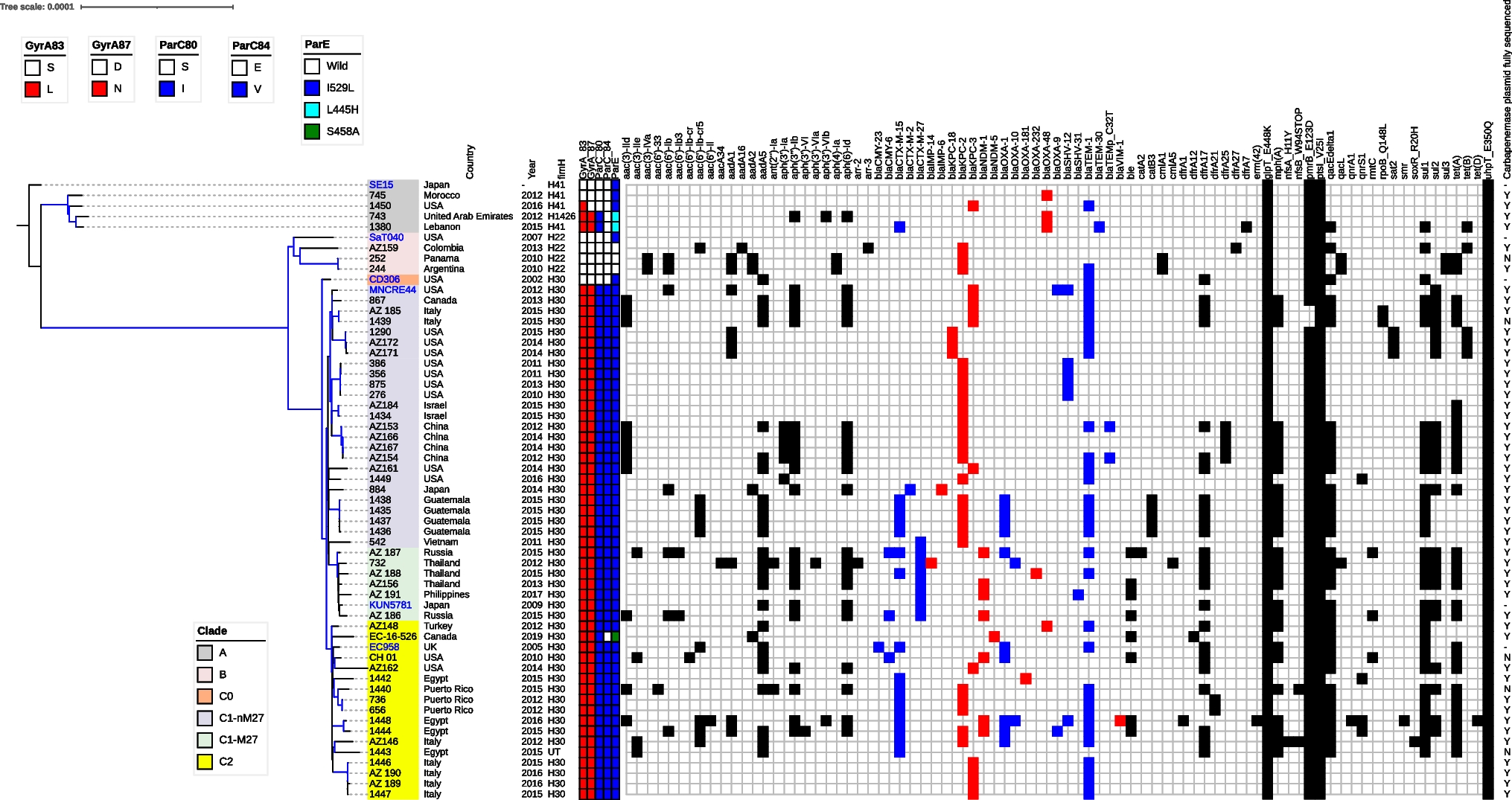 Mobile genetic elements of global  ST131 clades with carbapenemases