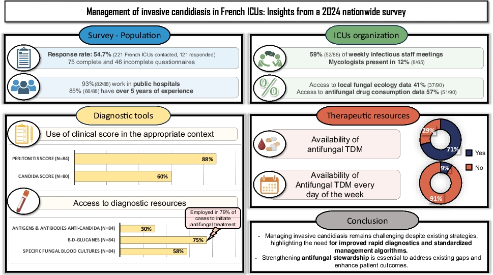 Management of invasive candidiasis in French ICUs: insights from a 2024 nationwide survey