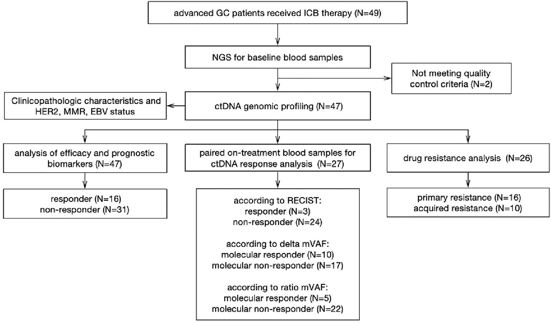 Circulating tumor DNA predicts clinical benefits of immune checkpoint blockade in HER2-negative patients with advanced gastric cancer