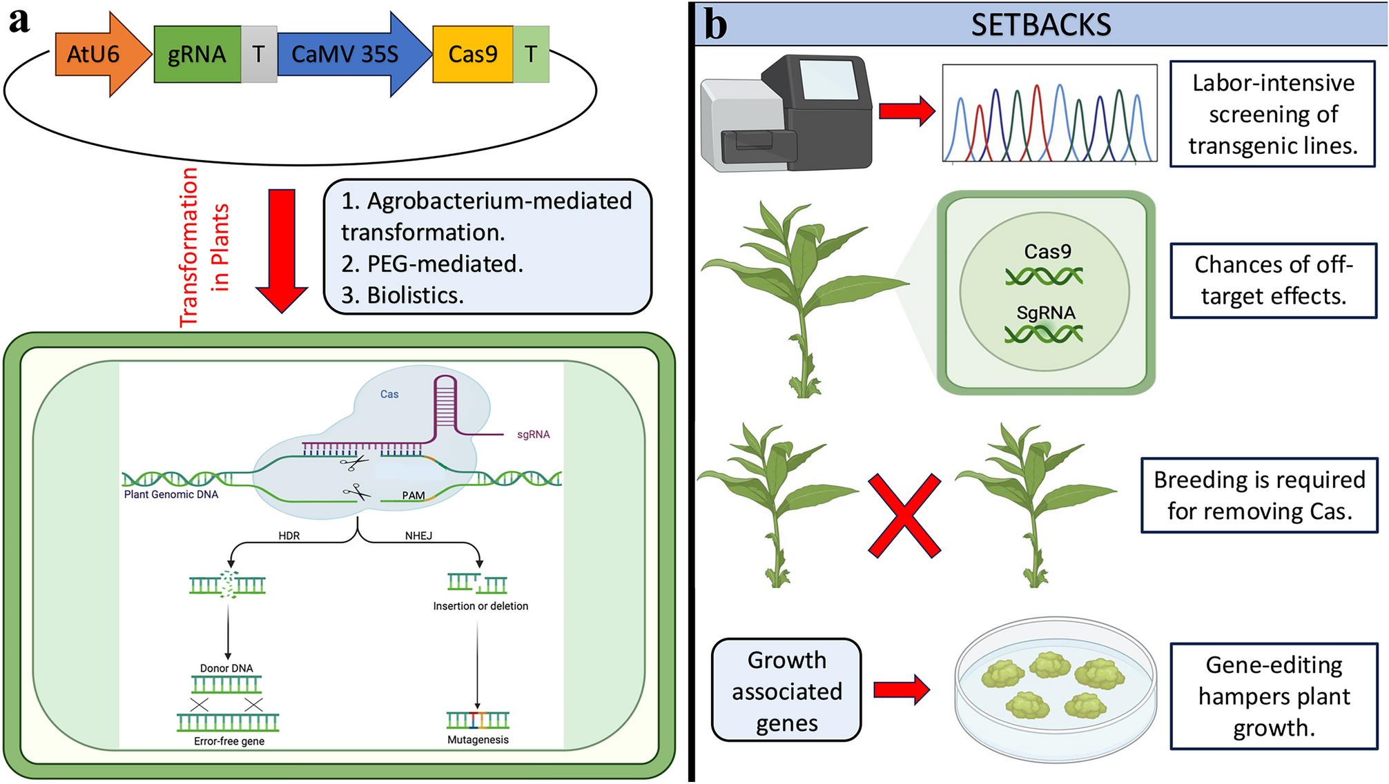 Tissue-culture free gene editing in plants using virus-induced gene editing: a brief overview