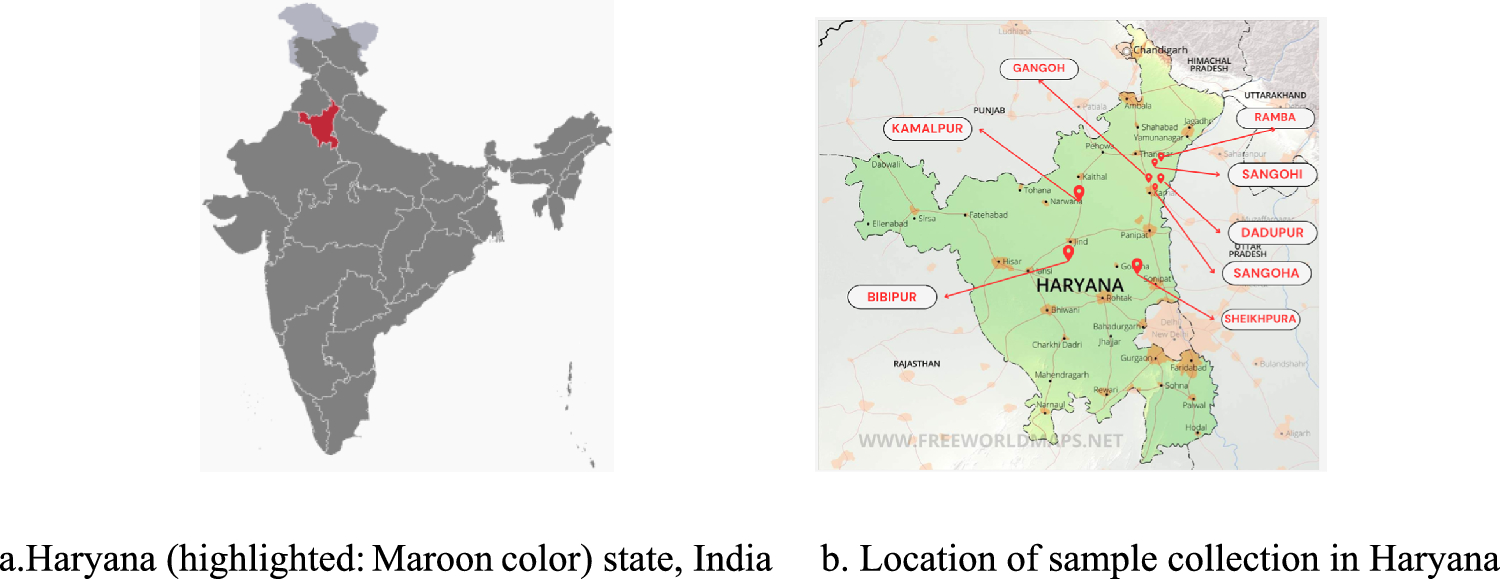 Exploring genetic diversity and population structure of field crossbred cattle using genome-wide SNP markers in Indian conditions