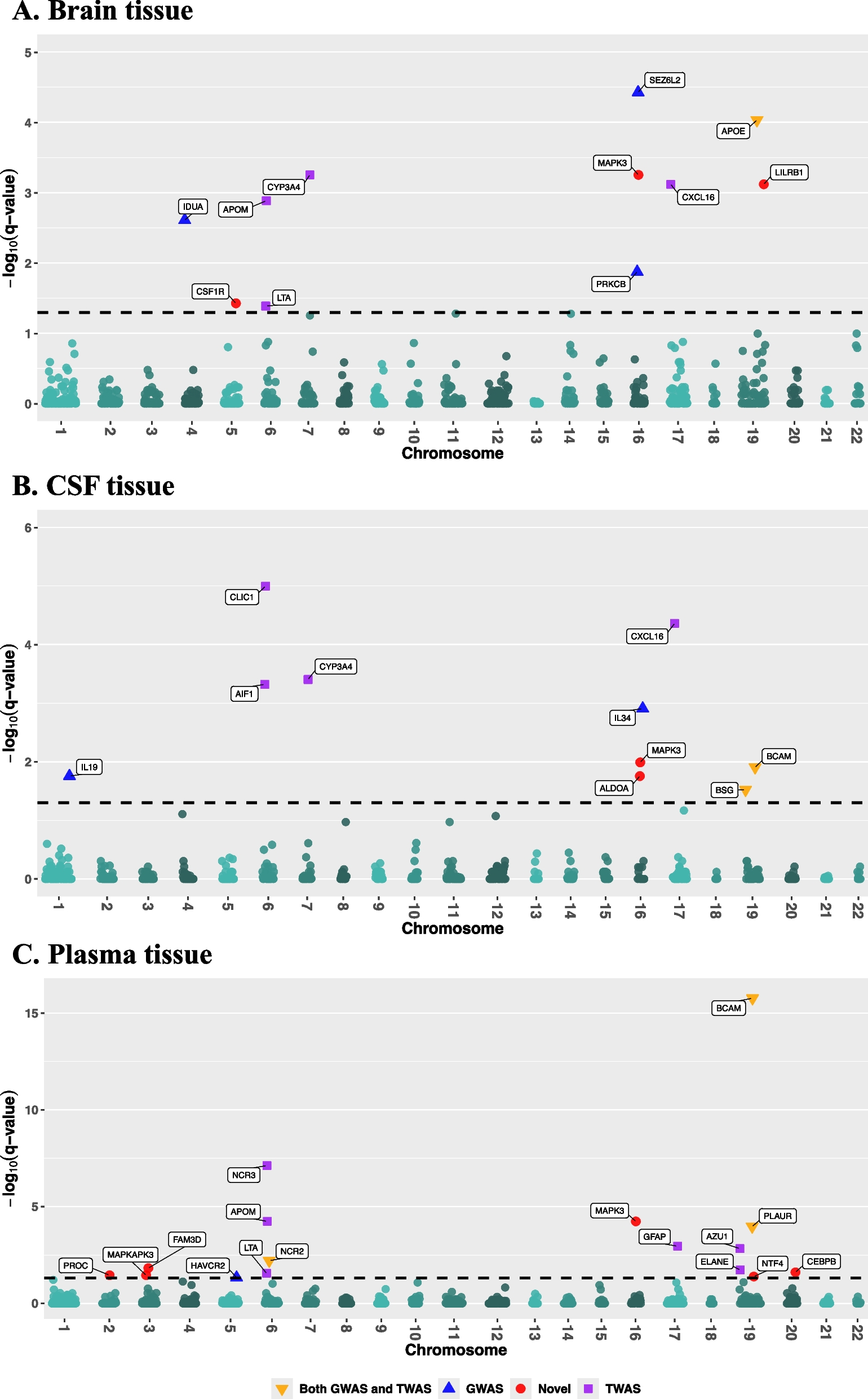 Proteome-wide association studies using summary pQTL data of brain, CSF, and plasma identify 30 risk genes of Alzheimer’s disease dementia