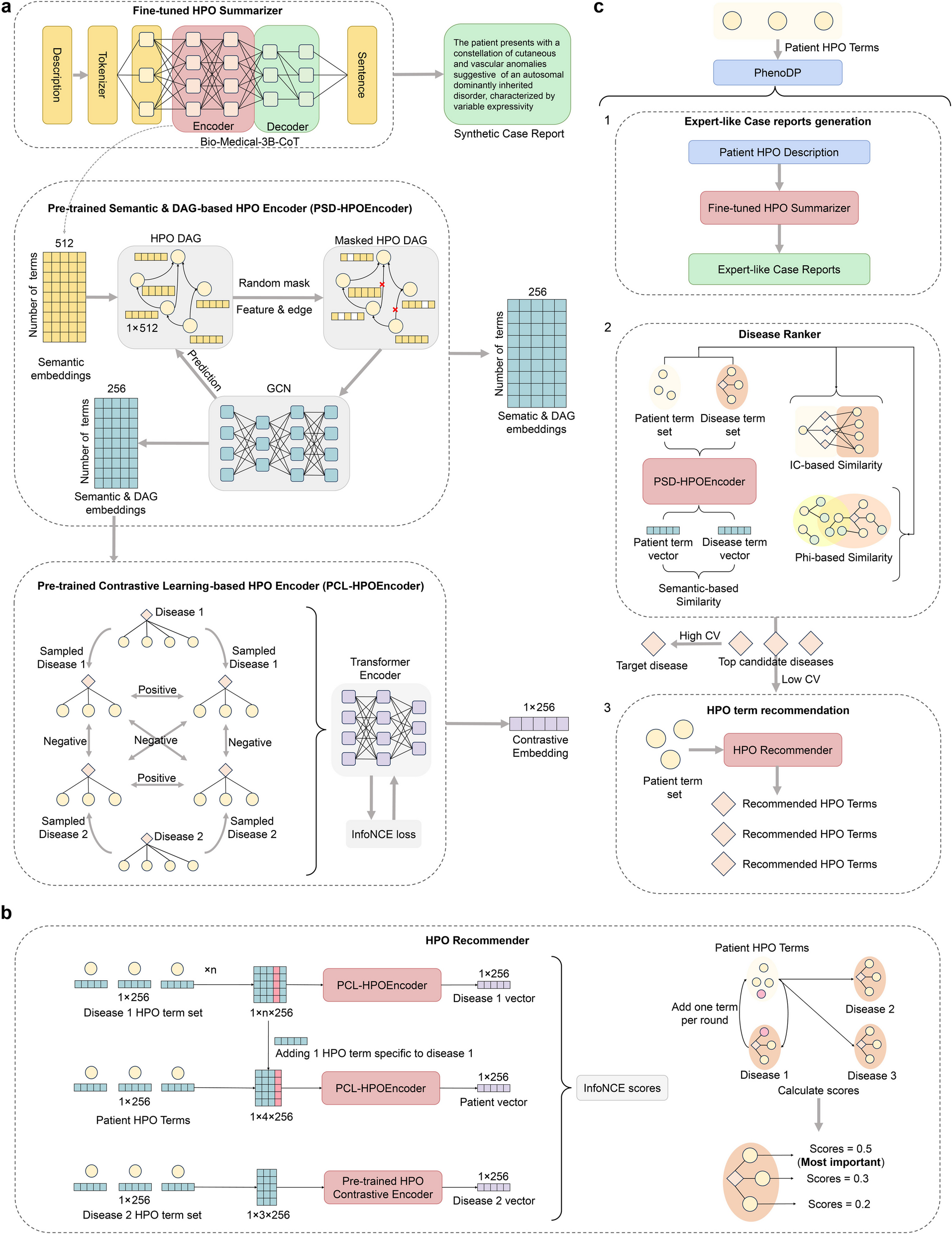 PhenoDP: leveraging deep learning for phenotype-based case reporting, disease ranking, and symptom recommendation