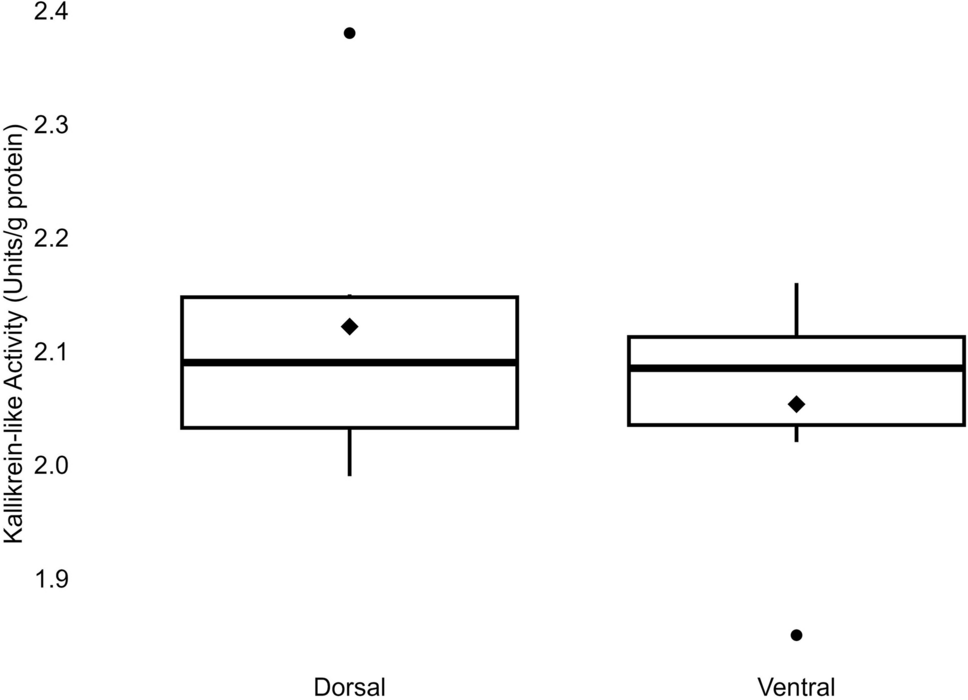 Identification of components of the kallikrein–kinin system in the spine epithelium of the Atlantic stingray,