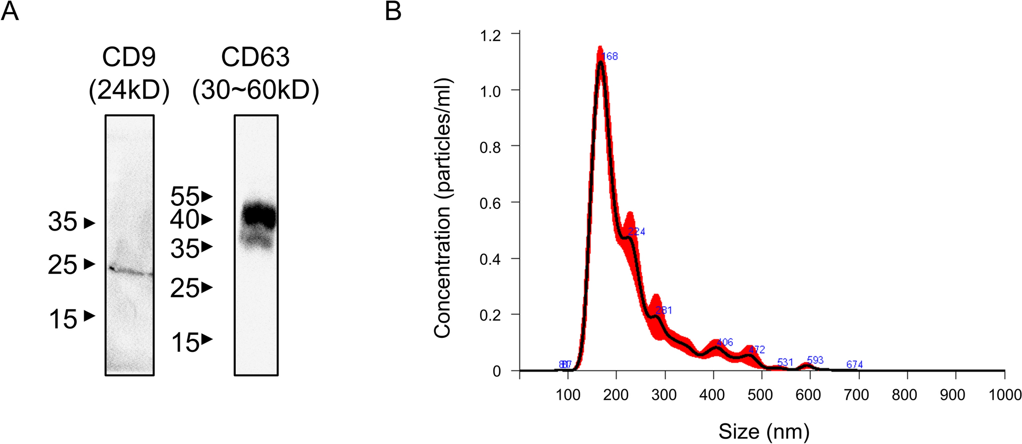 Human adipose-derived stem cell exosomes alleviate human respiratory system-related cells damaged by exposure to SO derivatives