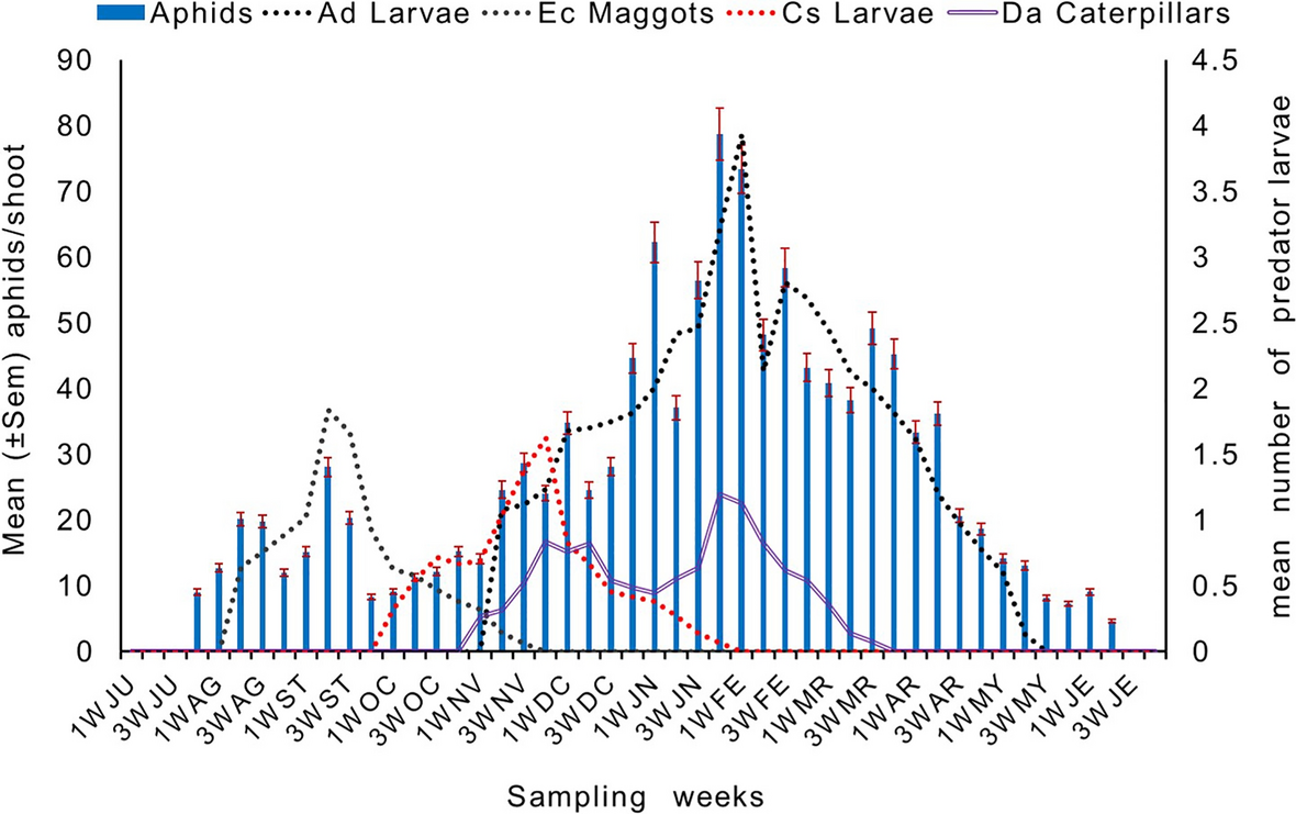 Factors shaping resource partitioning in predators of clumped patches of bamboo woolly aphids