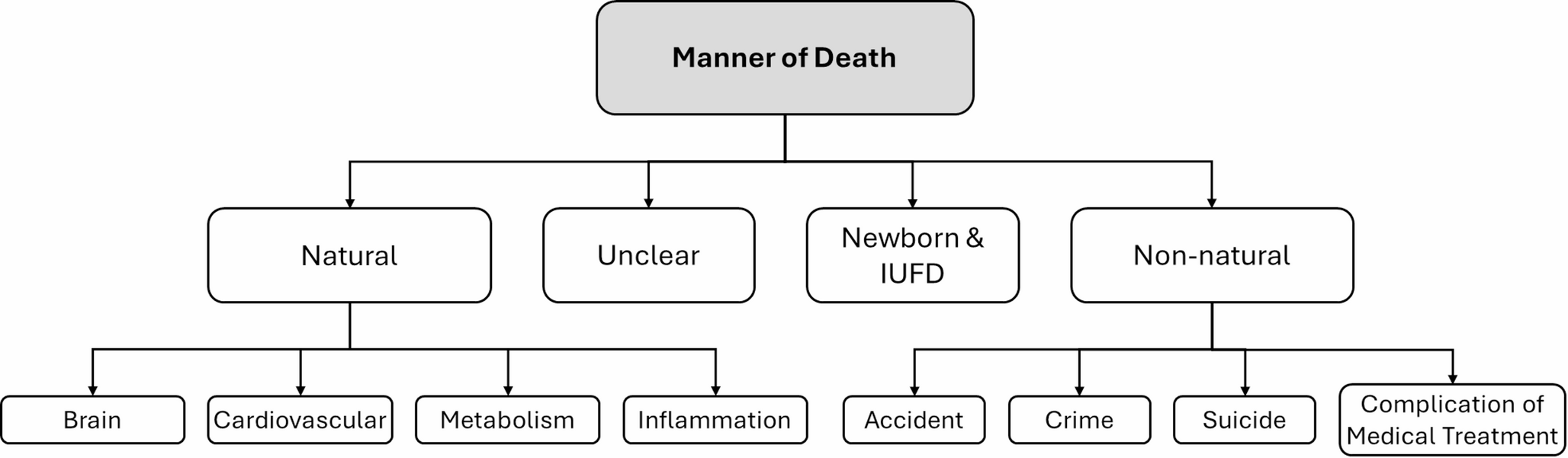Analysis of the methamphetamine-related deaths in Eastern Saxony, Germany, between 2005 and 2019