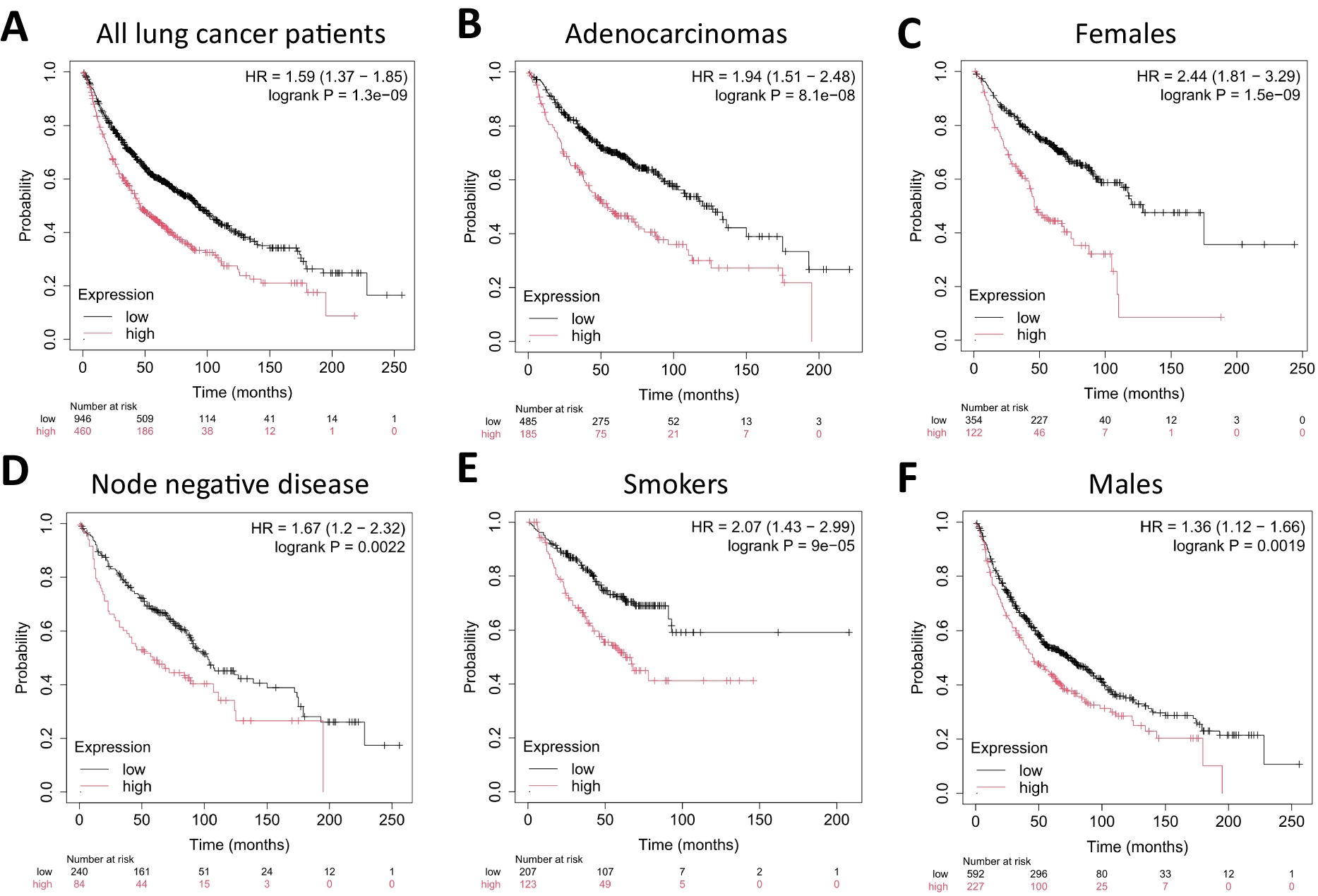 NRF2 pathway activation predicts poor prognosis in lung cancer: a cautionary note on antioxidant interventions