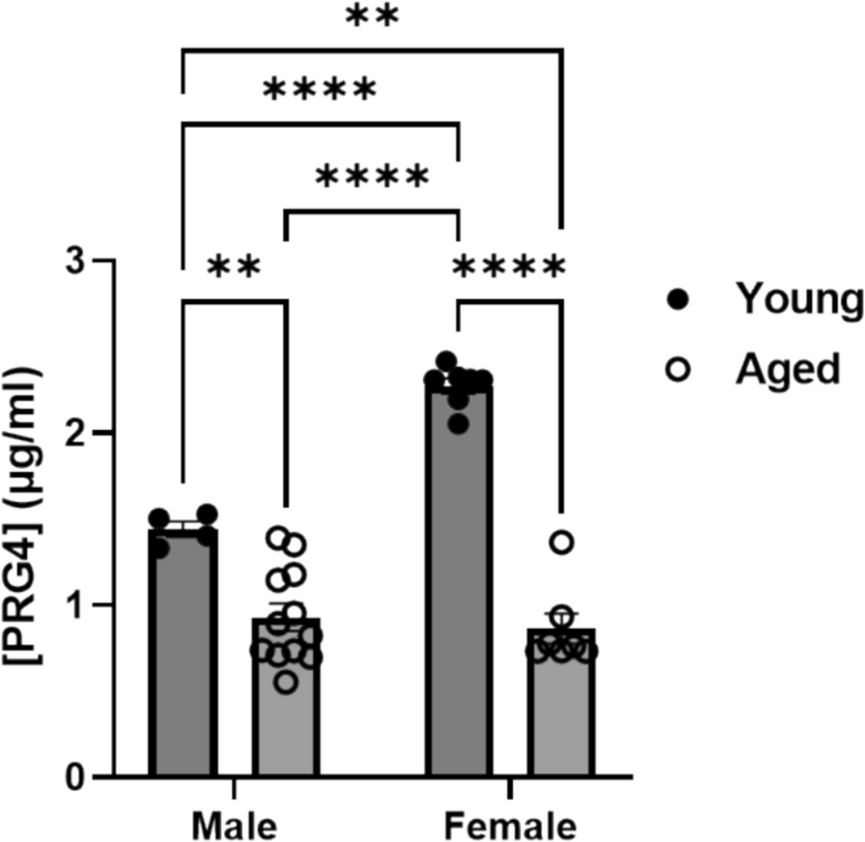 Proteoglycan-4 (PRG4) serum concentration is lower in aged mice, and genetic deficiency impacts survival probability, blood parameters, and bone during aging