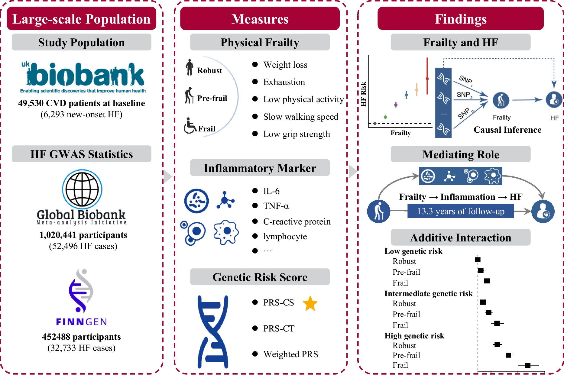 Associations of physical frailty and polygenic score with incident heart failure in cardiovascular patients: unraveling the mediating role of inflammation