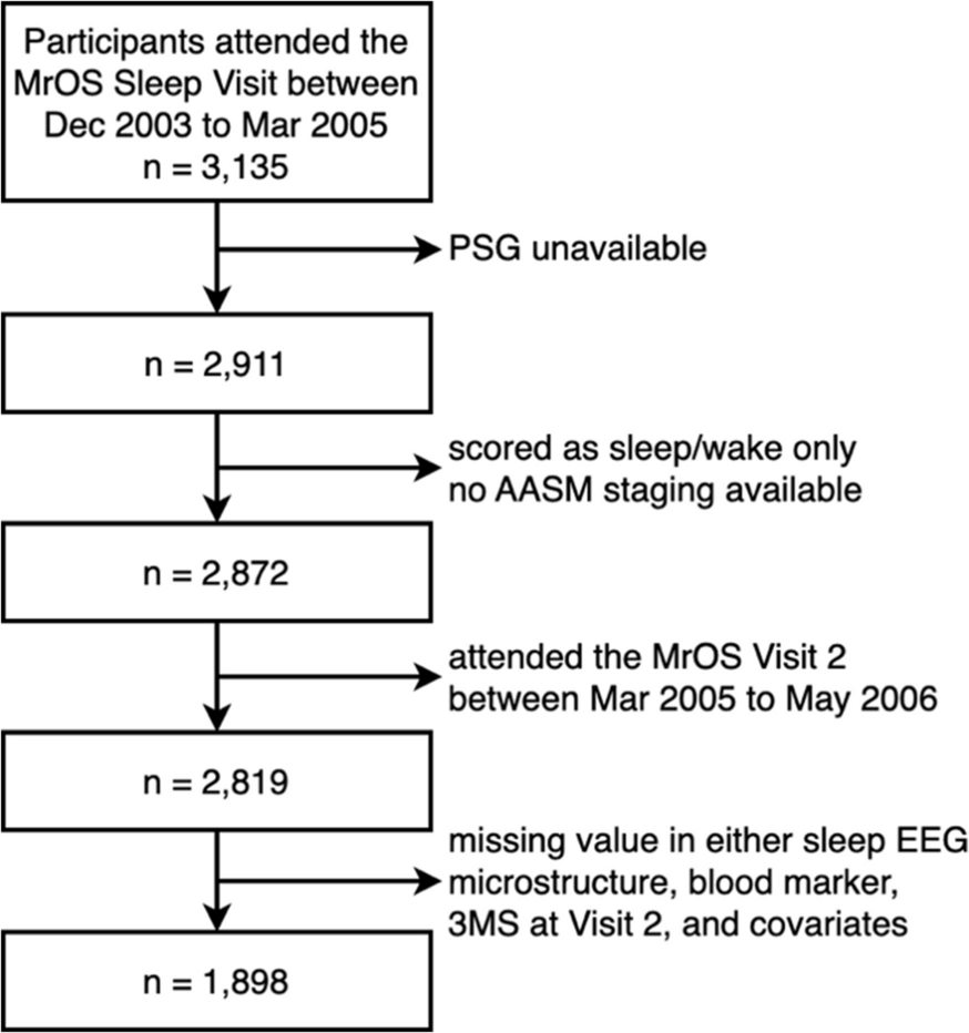 Linking sleep microstructure, blood markers of inflammation and metabolism, and cognition: mediation analysis in the osteoporotic fractures in men study