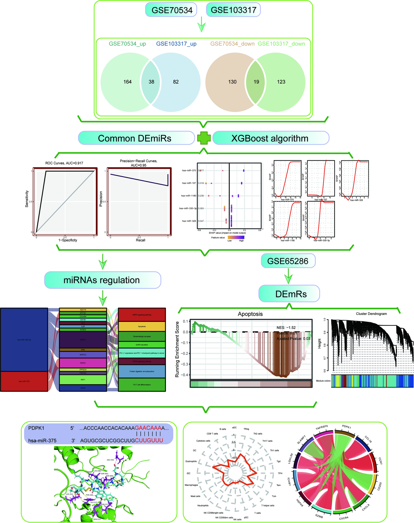 Mechanistic role of miR-375 in regulating PDPK1 to promote progression of small bowel neuroendocrine tumors: a silico analysis