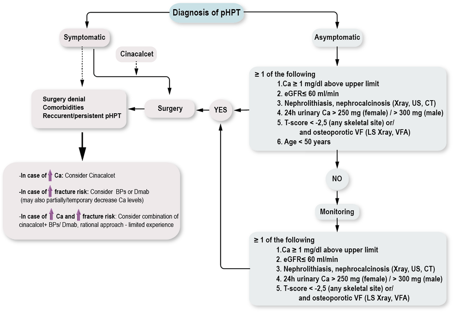 Diagnosis and management of primary hyperparathyroidism: recommendations from the Bone Section of the Hellenic Endocrine Society