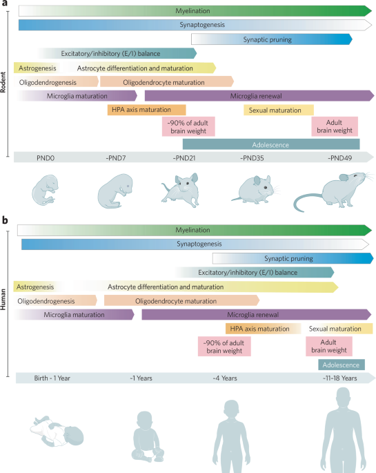 Neurobiology of resilience to early life stress
