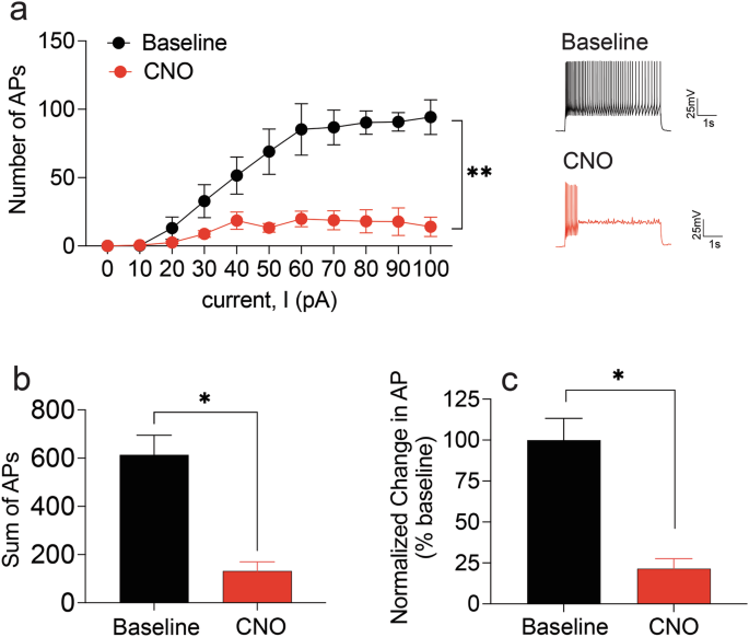 The mesolimbic reward pathway is necessary for disruptions in cocaine-seeking behavior following mediated devaluation