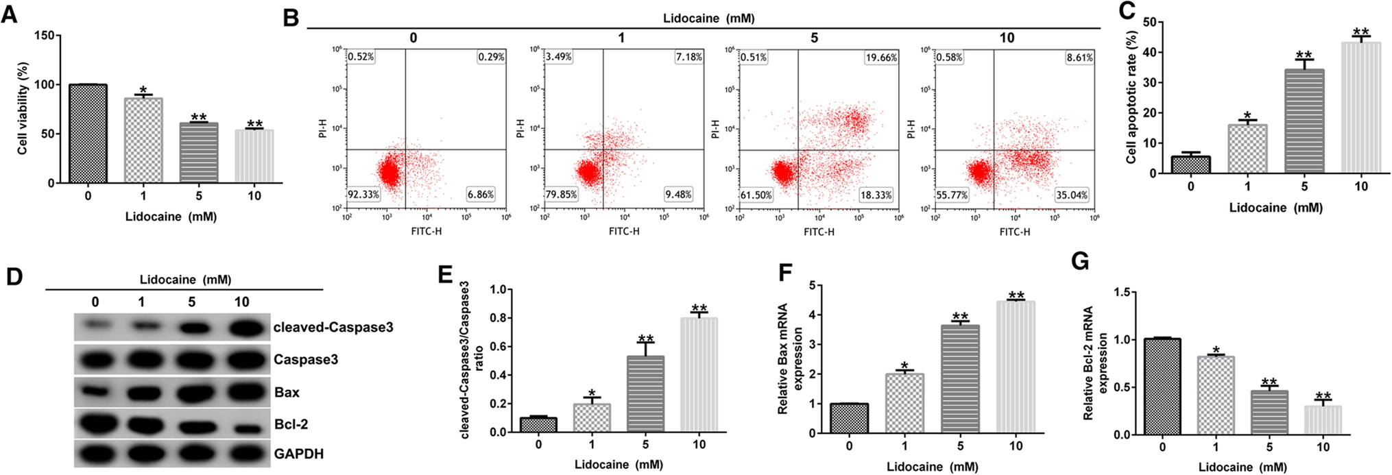 Correction: Protective effects of lidocaine on polycystic ovary syndrome through modulating ovarian granulosa cell physiology via PI3K/AKT/mTOR pathway