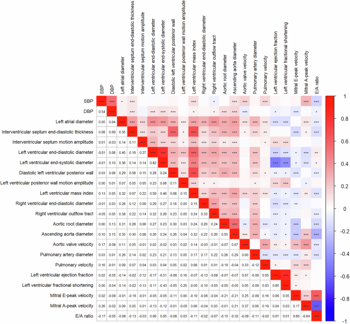 Profiles of echocardiographic features associated with blood pressure in patients with hypertension