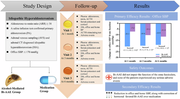 Safety and efficacy of alcohol-mediated bilateral adrenal artery embolization in patients with idiopathic hyperaldosteronism: a 6-month follow-up of a randomized controlled trial