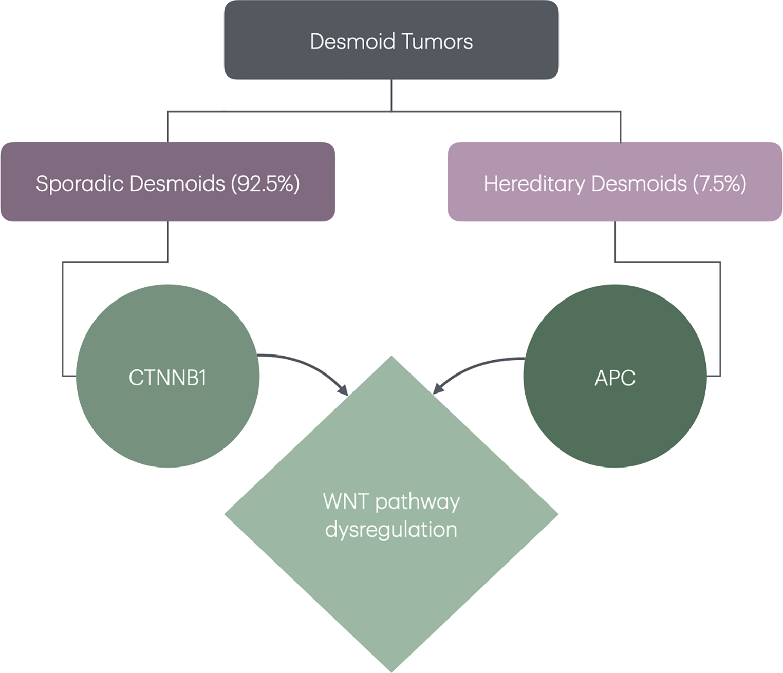 Updates and controversies for desmoids in familial adenomatous polyposis