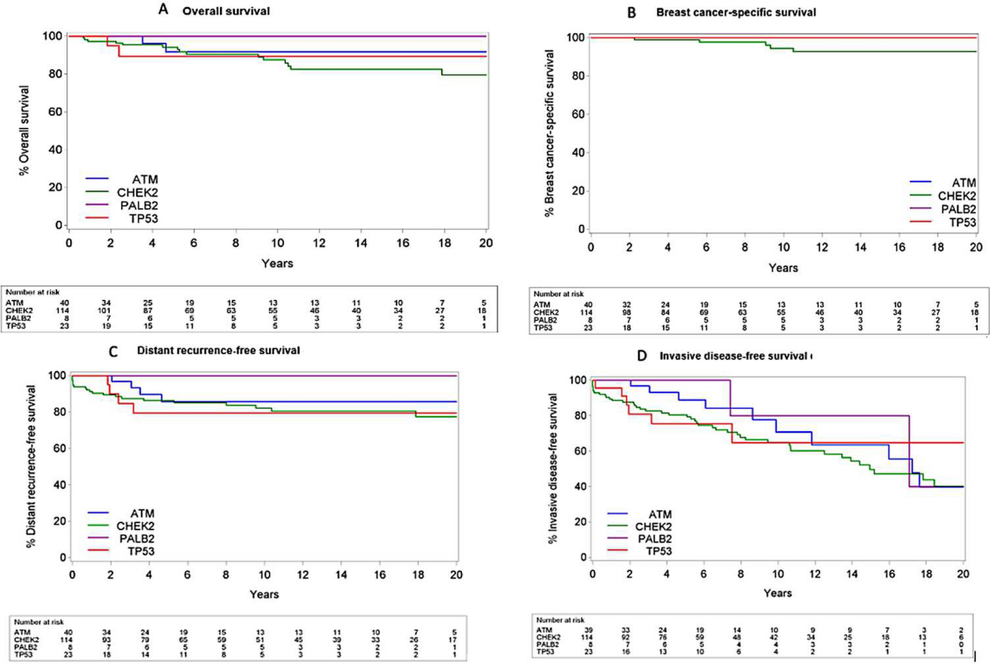 Hereditary breast cancer beyond : clinicopathological characteristics and long-term outcomes