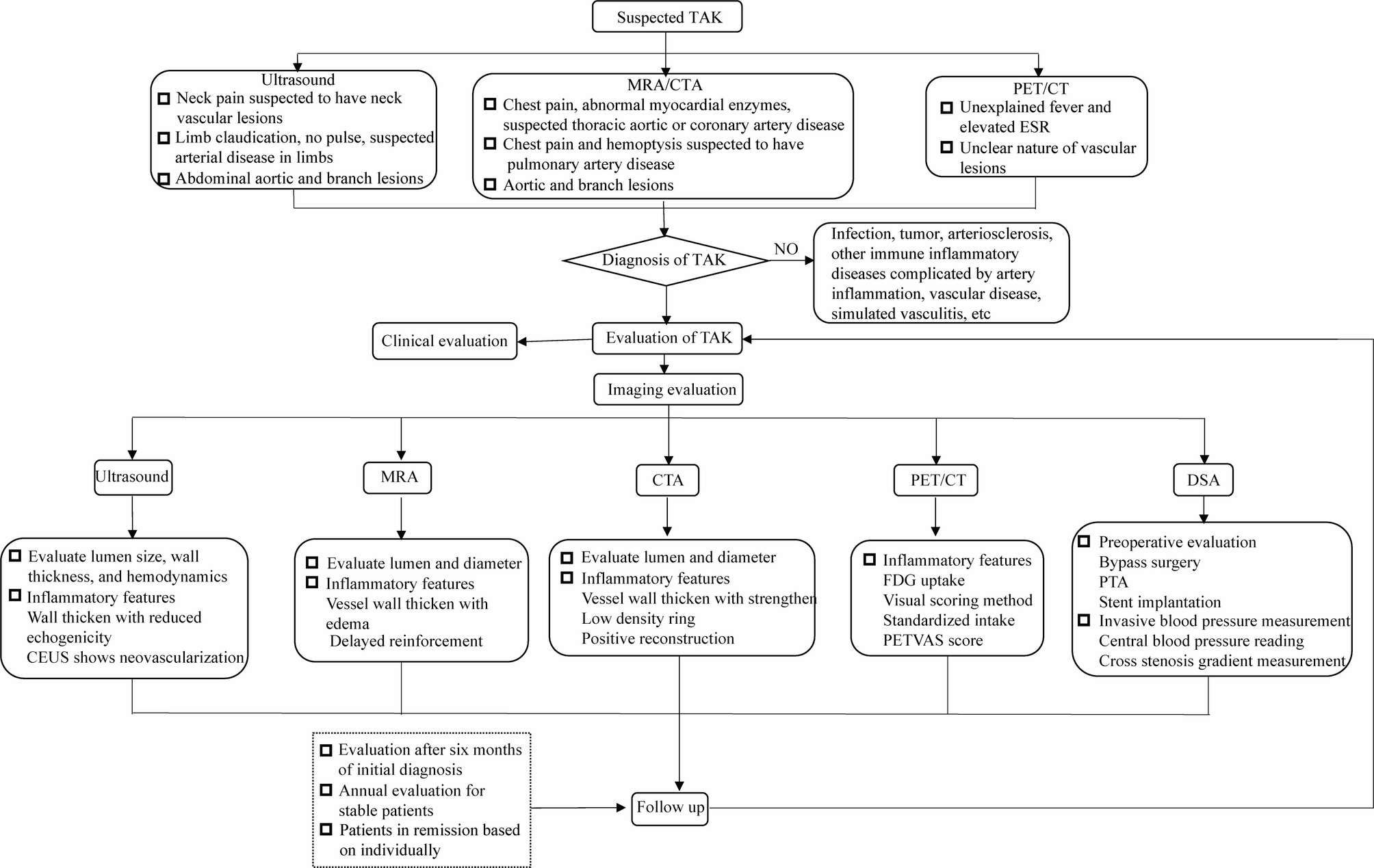 2025 Chinese guideline for the imaging diagnosis and evaluation of Takayasu arteritis