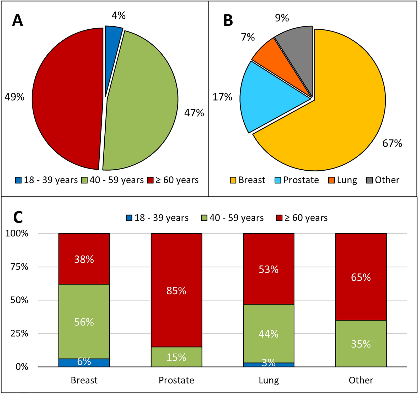 Bone Metastases and Skeletal Complications: Information and Involvement of Patients with Cancer in the Treatment Pathway