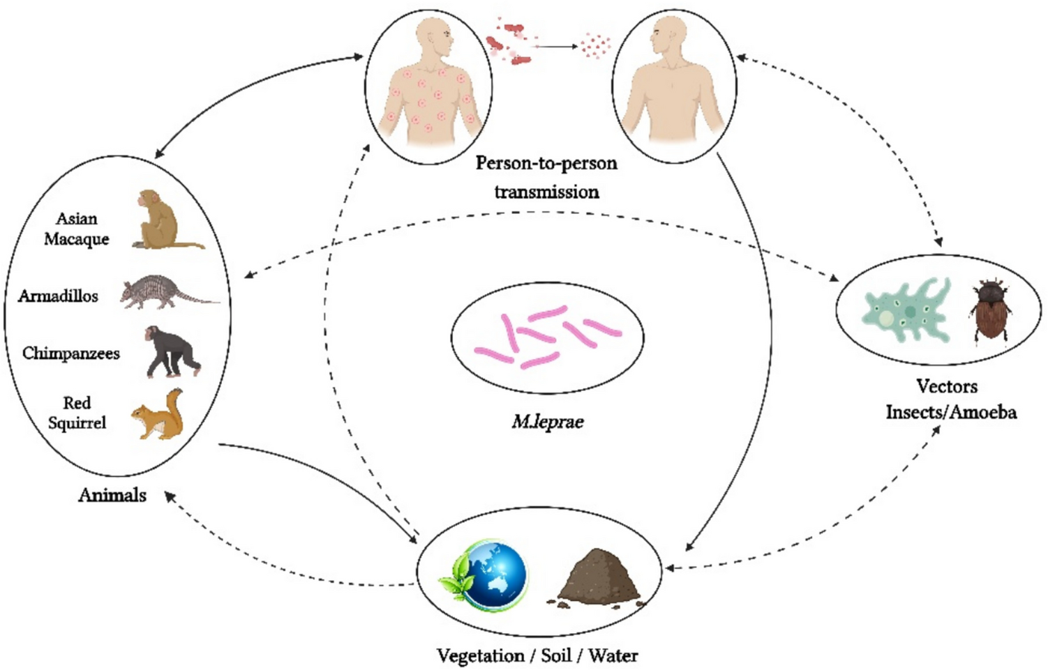 Neuromuscular Manifestations of Leprosy and Update on Treatment