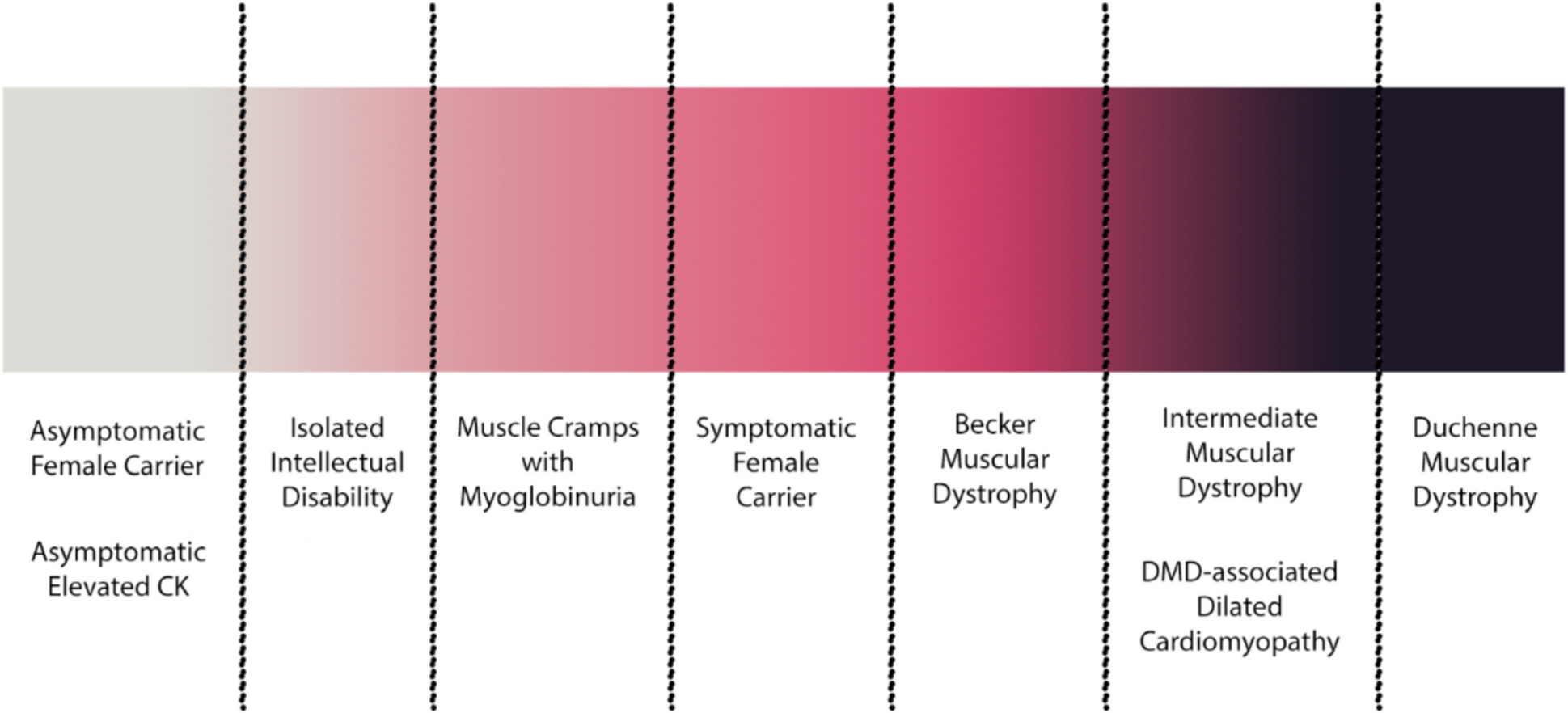 Update on Treatment of Dystrophinopathy