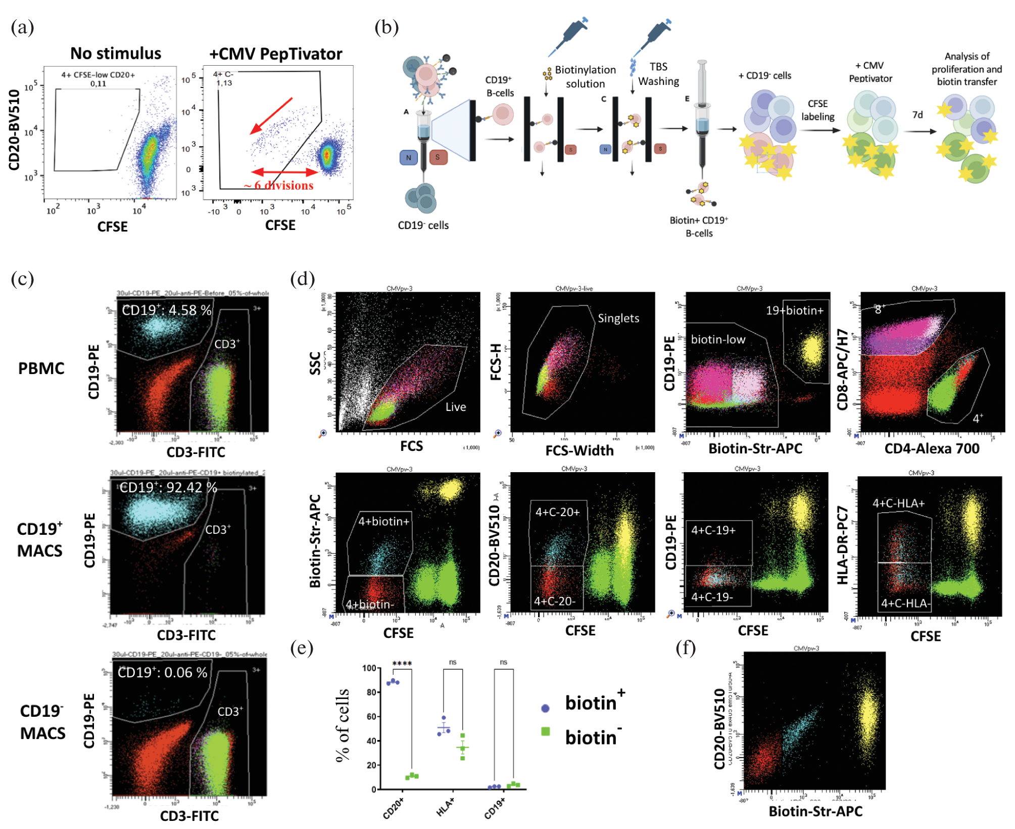 Multiplexed Detection of Epitope Specific T-Cell Responses Using CD20 Trogocytosis