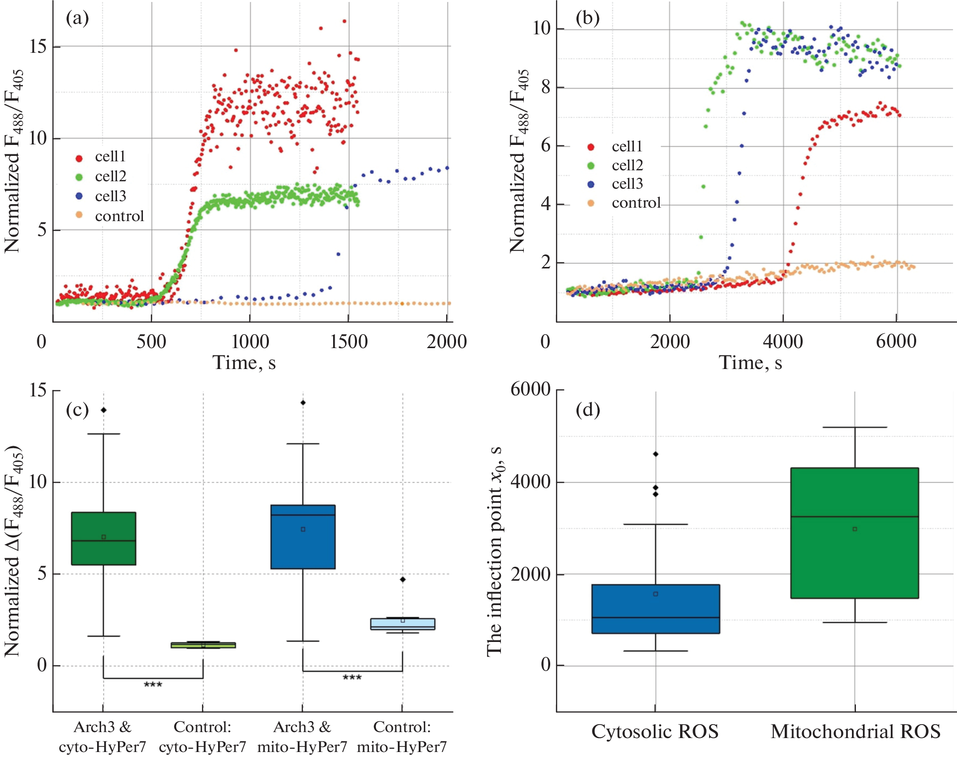 ROS Generation in Mitochondria and Cytosol during Optogenetic Cytosol Alkalization in Human Cells