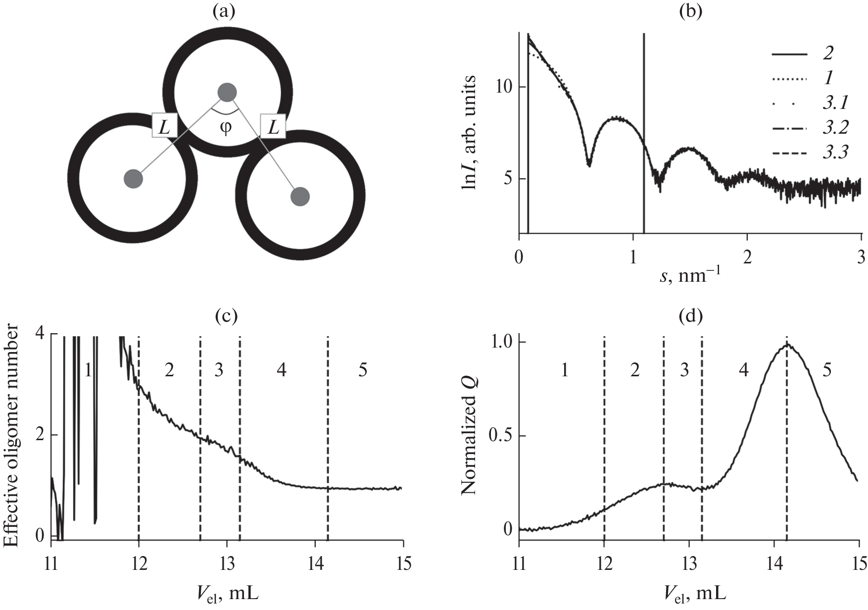 Capabilities of SEC-SAXS Method in Research of Polydisperse Systems: The Case of Apoferritin