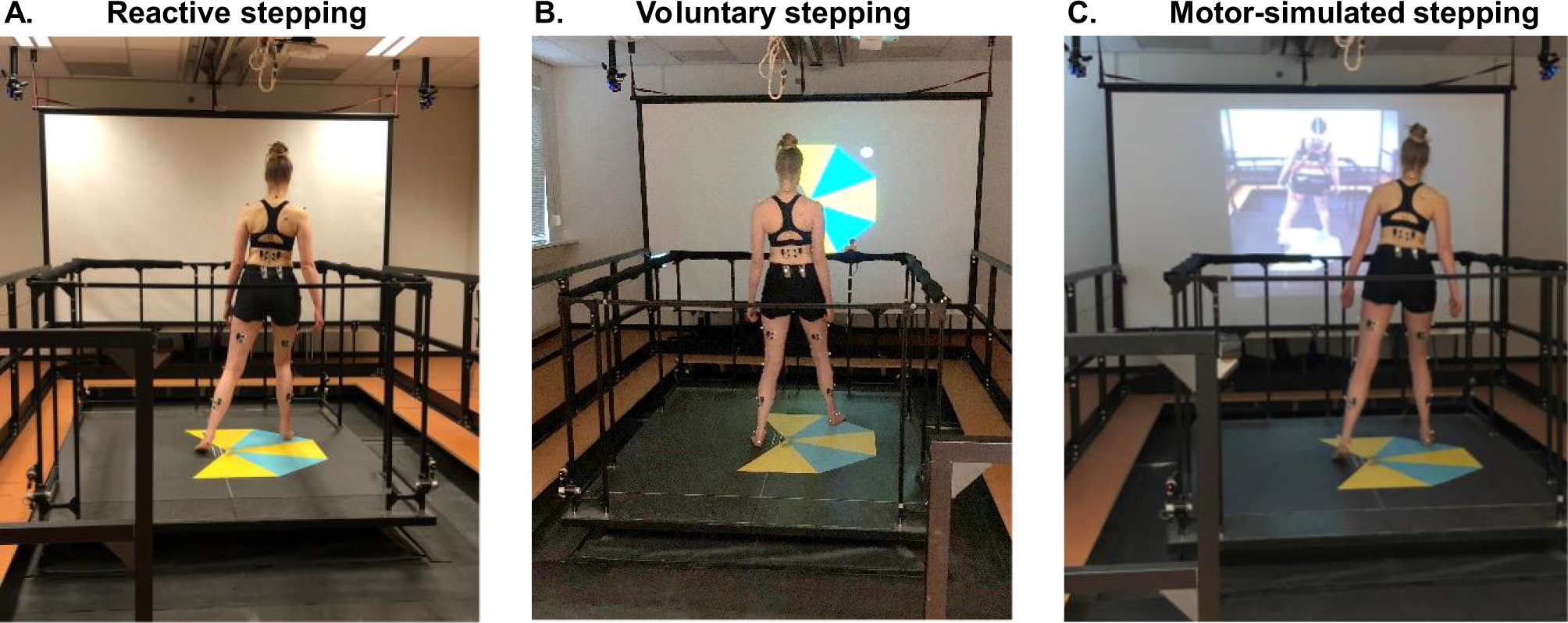 Comparative analysis of muscle coordination patterns underlying different types of stepping movements