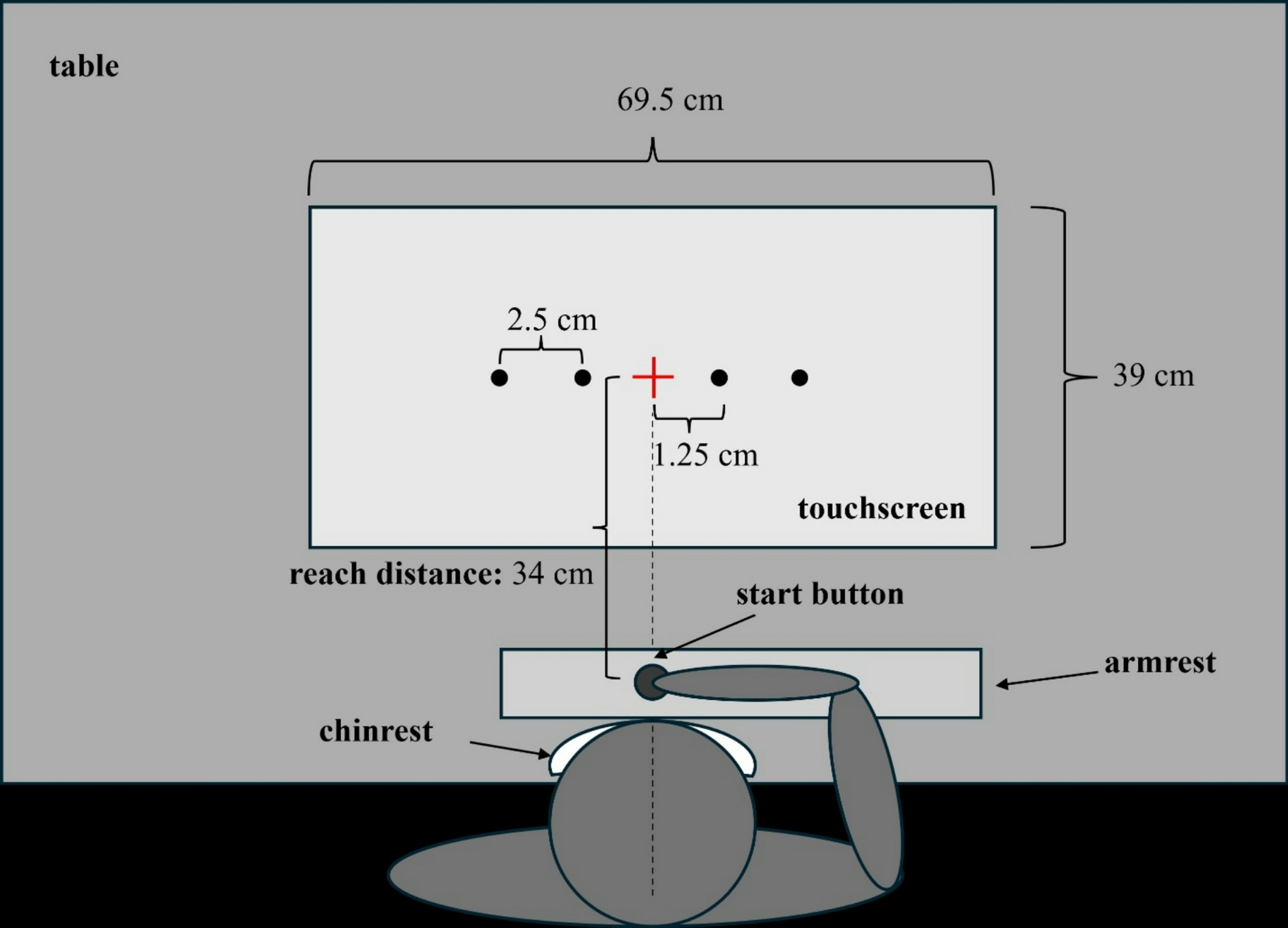 “Automatic” online reach corrections are associated with individual differences in executive function
