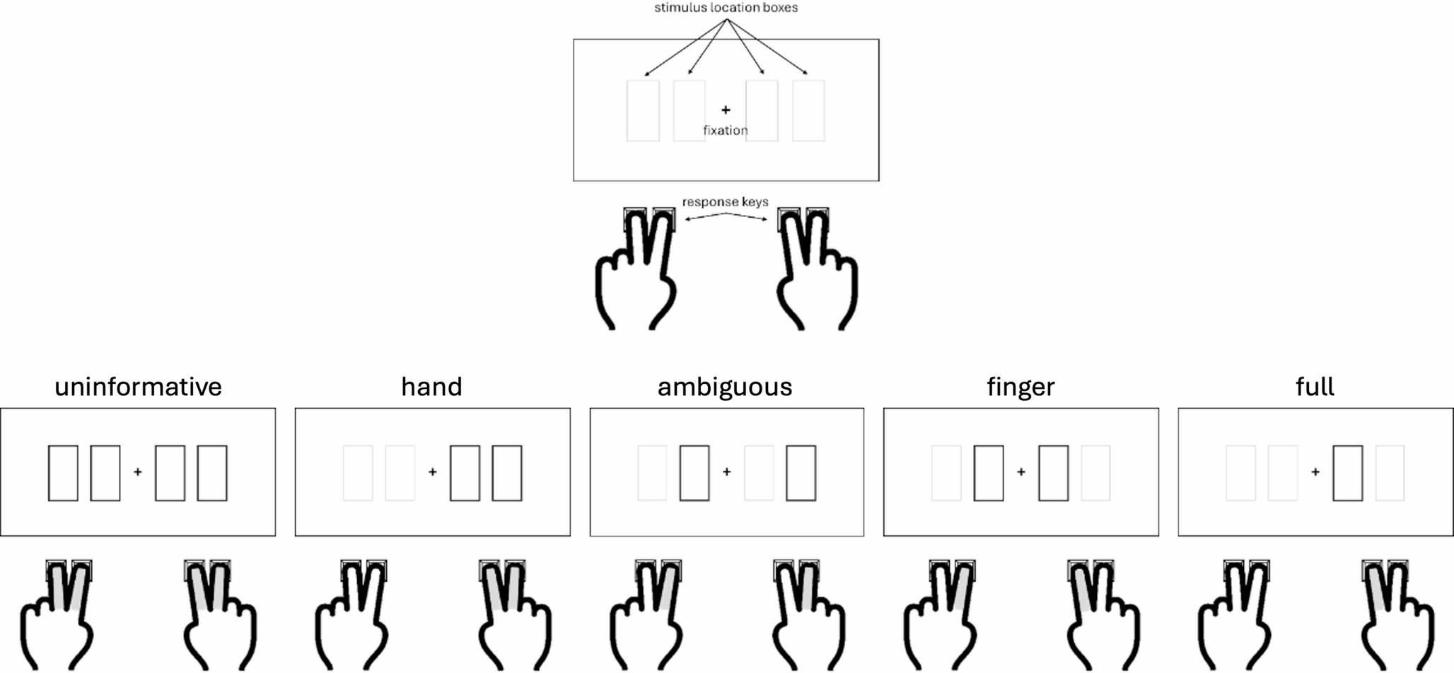 The influence of advanced information on co-representation in a shared finger precuing task