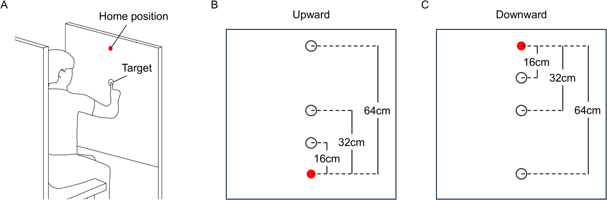 Direction-dependent effects of gravity on speed-accuracy trade-off during vertical pointing movements