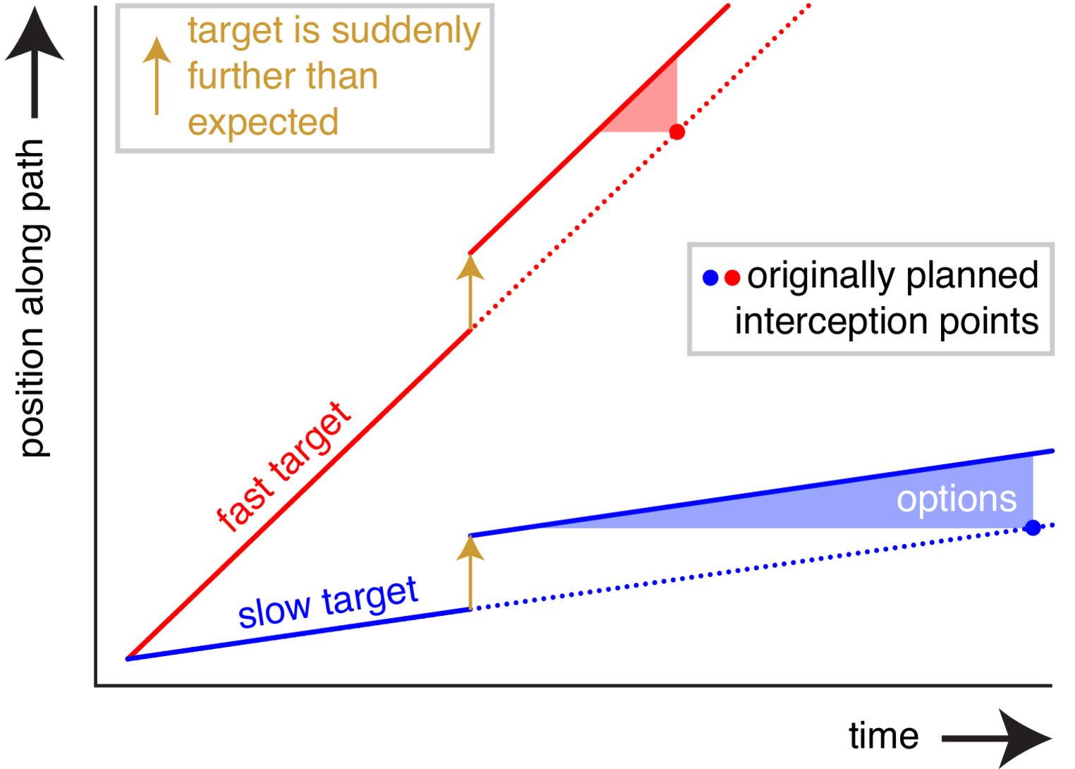 How a target’s speed influences the extent to which the time or place at which it is intercepted is adjusted
