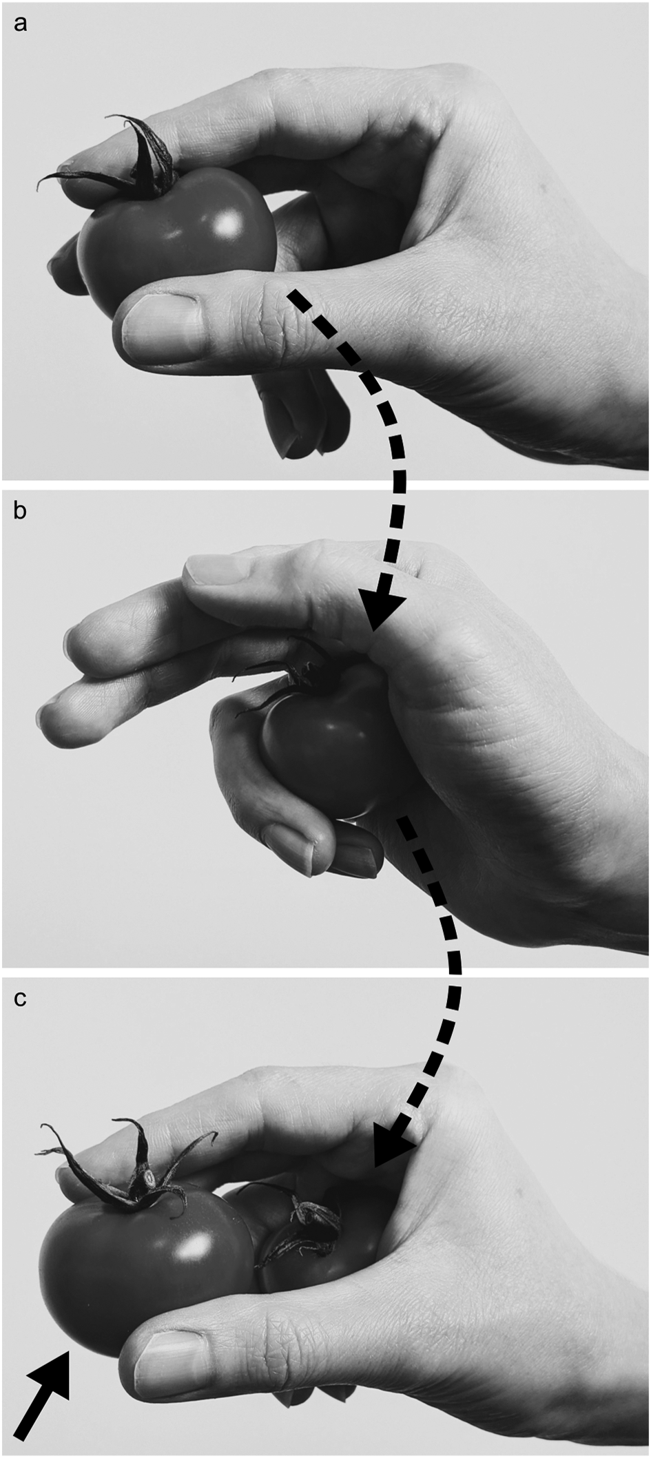 Multiple object handling: exploring strategies for cumulative grasping and transport using a single hand