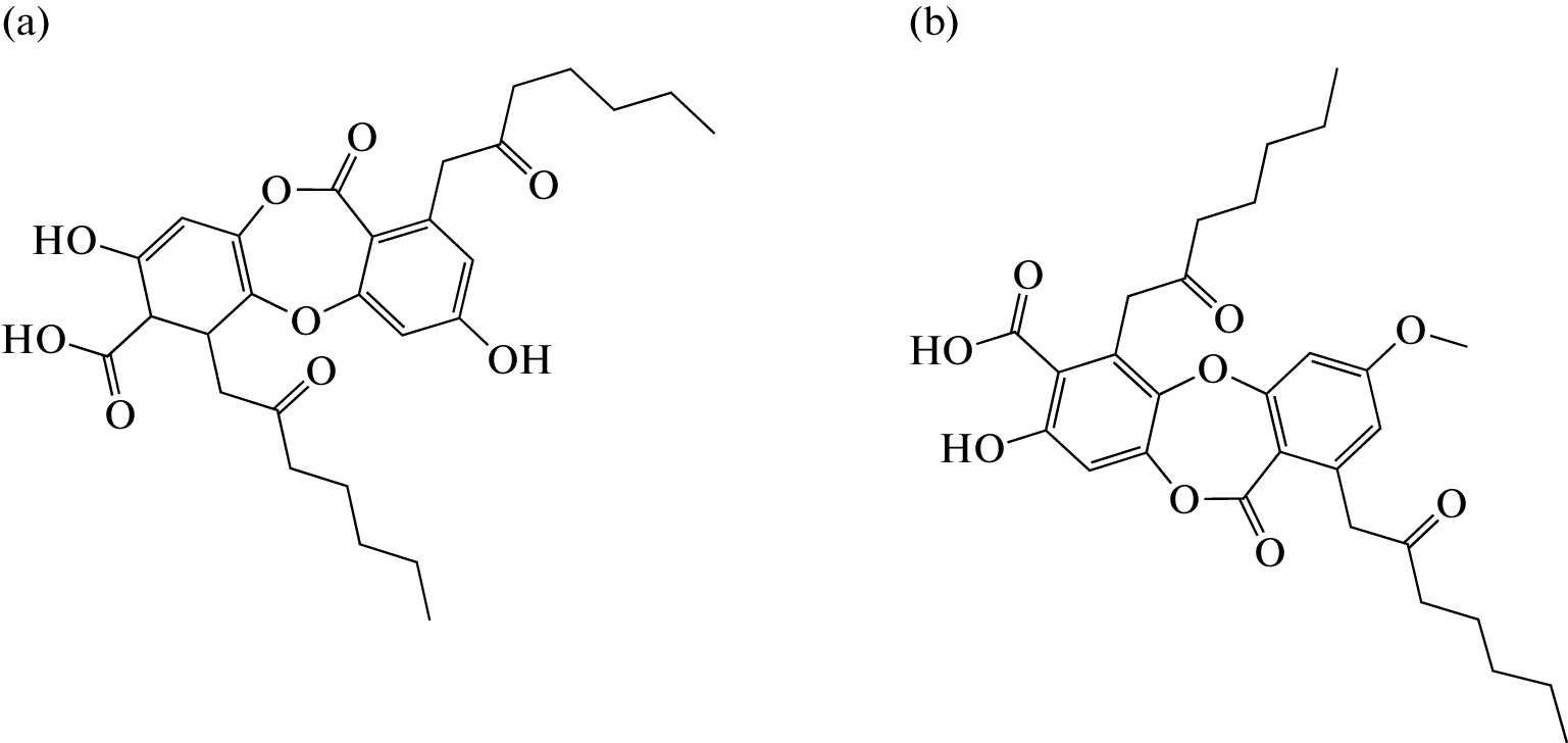 Isolation, Identification, and Cytotoxicity of α-Alectoronic and α-Collatolic Acids Isolated from the Lichen