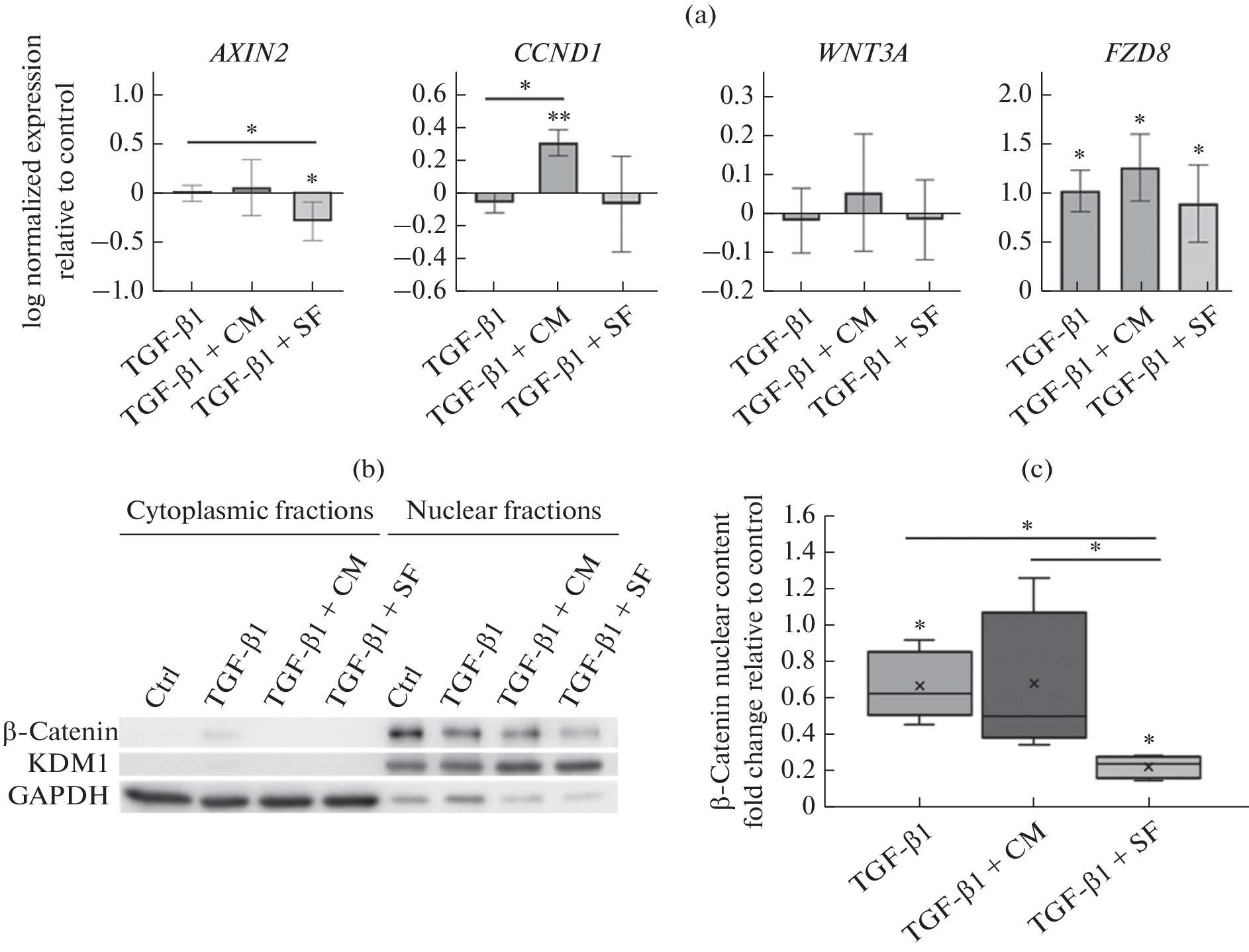 Study on the Mechanisms of Antifibrotic Action of Soluble Proteins of Human Mesenchymal Stromal Cell Secretome